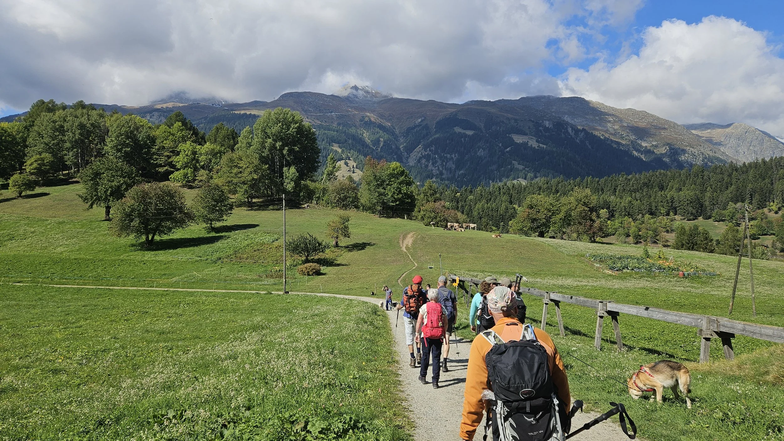 Kennismakingswandeling vips en buddy´s zomerreis 2026