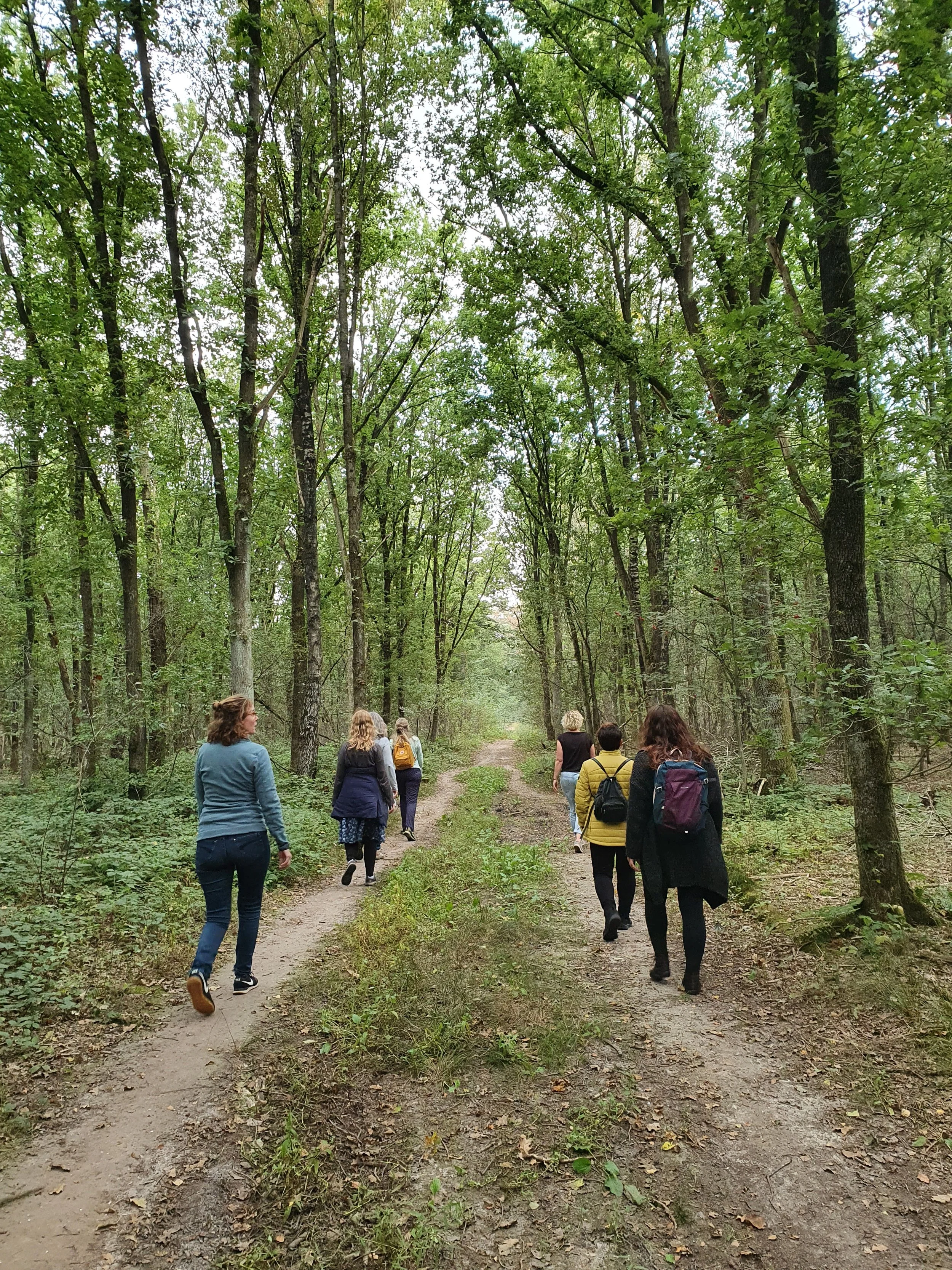 Maandwandeling Walk of Life - Juni