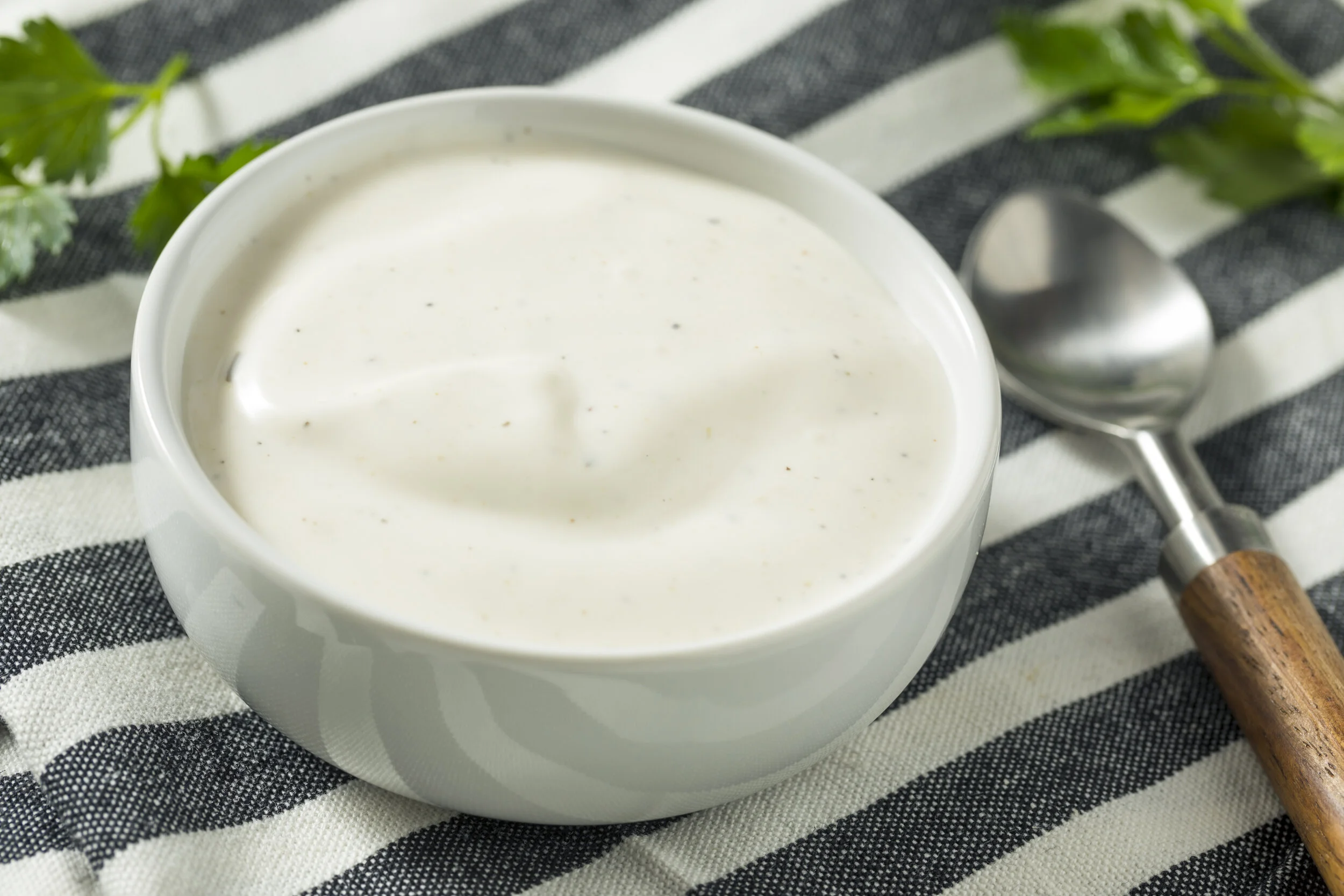 Low Fat Buttermilk Ranch Dressing — Bariatric Test Kitchen
