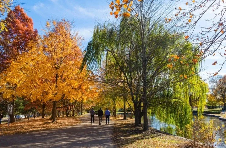 Thanks @nytimes for the article inclusion. Nashvillians know that Centennial Park's 132 acres are a wonderful fall escape. &quot;A one-mile walking trail loops around the park&rsquo;s great lawn and Lake Watauga. It is a flat, serene, winding path th