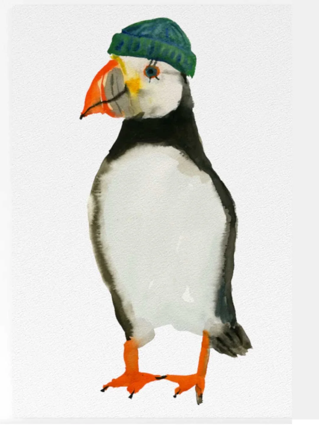 New-captain-puffin.jpg