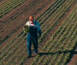 Youtube Shorts have become an increasingly important part of our social media strategy and allow us to reach other demographics compared to Instagram and Facebook. This short makes use of a microphone with drone videography to mimic a shot from a cam