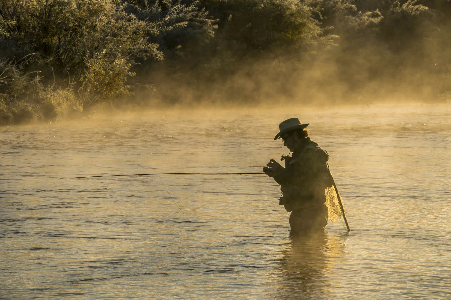 Fly Fishing Provo River