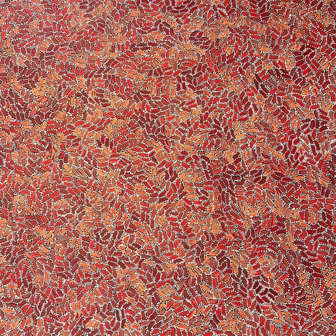 SOLD 
Nathania Nangala Granites, Warlukurlangu Jukurrpa (Fire country Dreaming), 2025, 
acrylic on linen, 
107 x 91 cm
