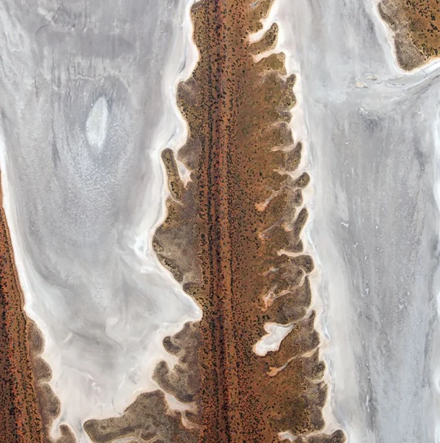 Tanami Mina Mina Julie Robertson.jpg