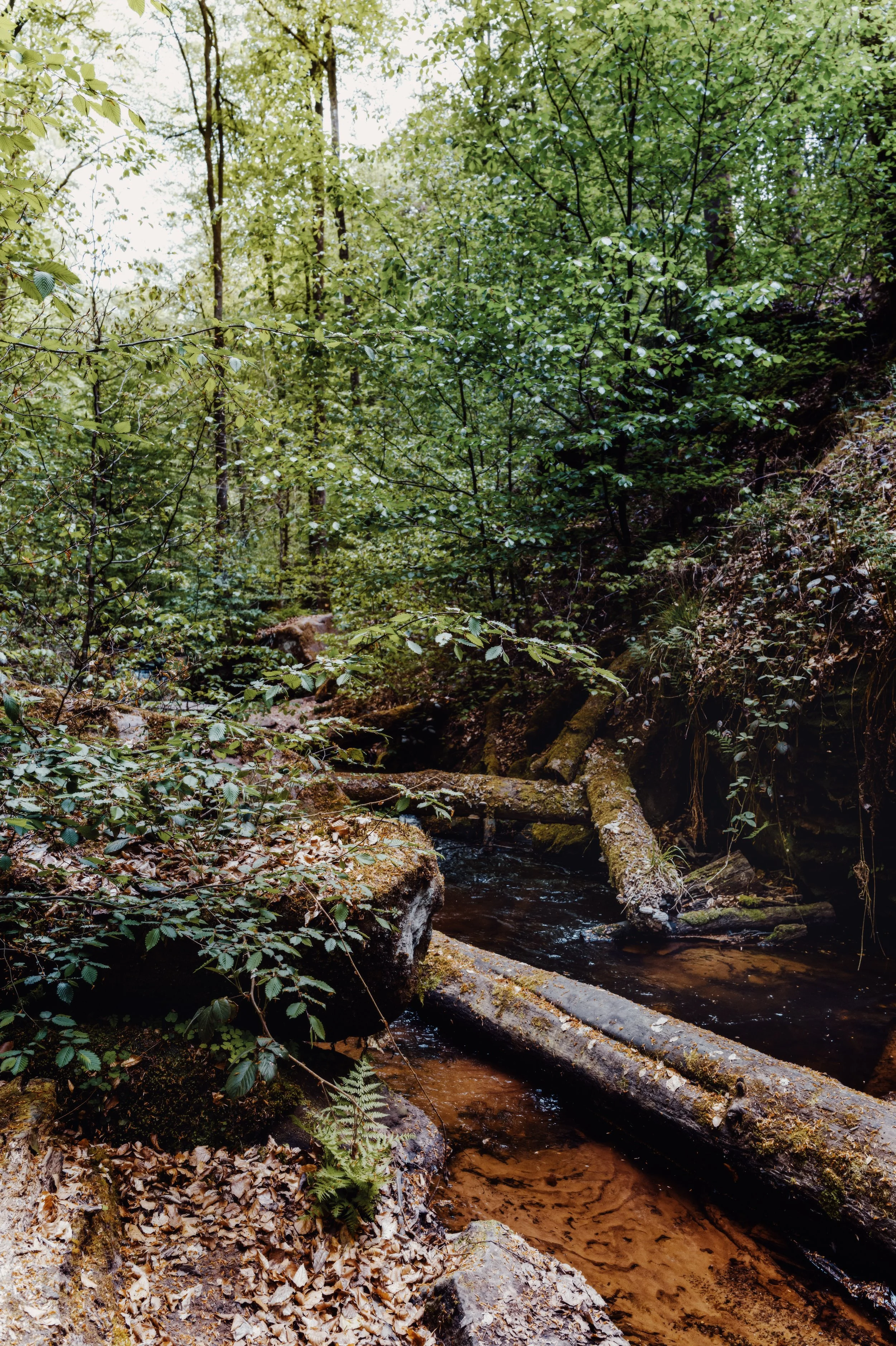 L1050288.jpg