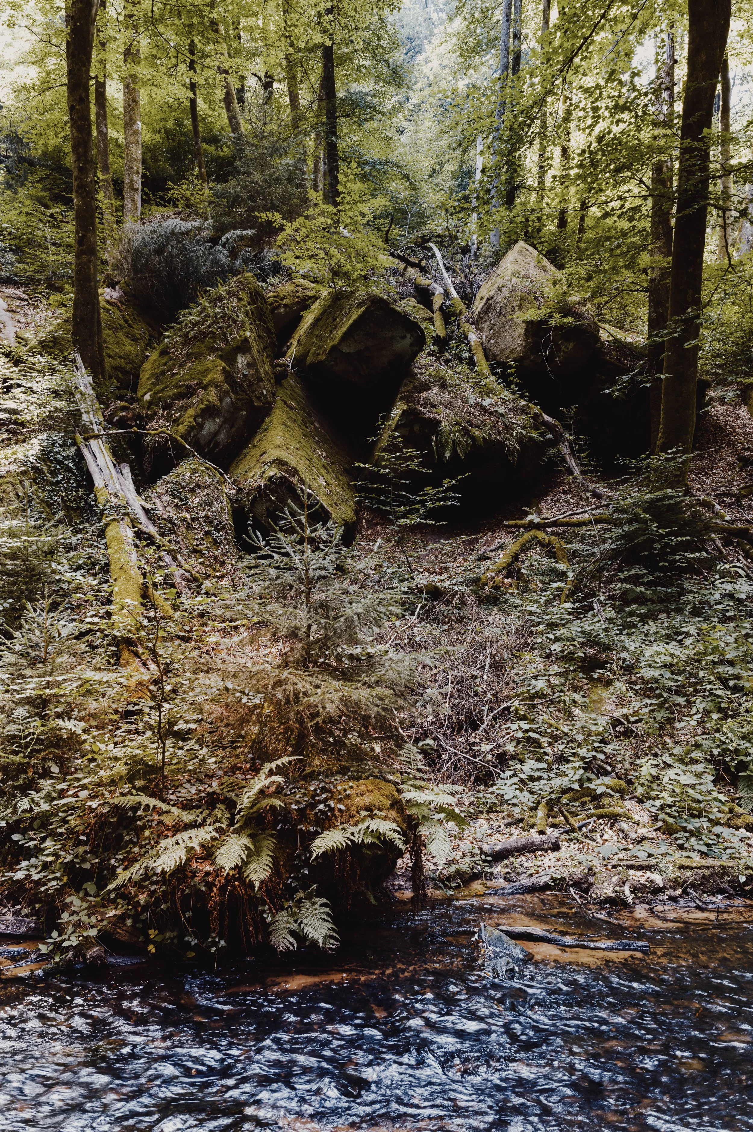 L1050789.jpg