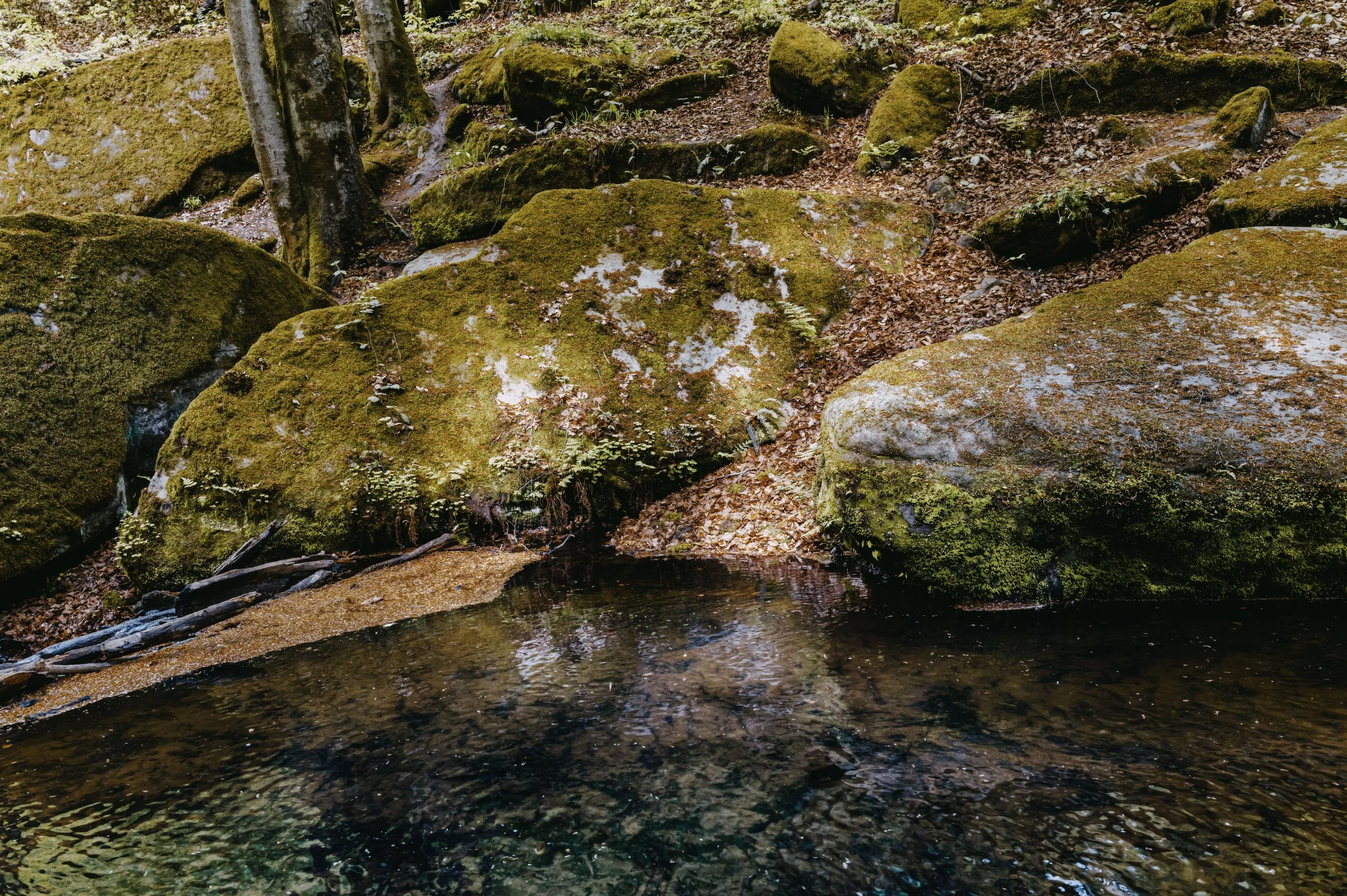 L1050349.jpg