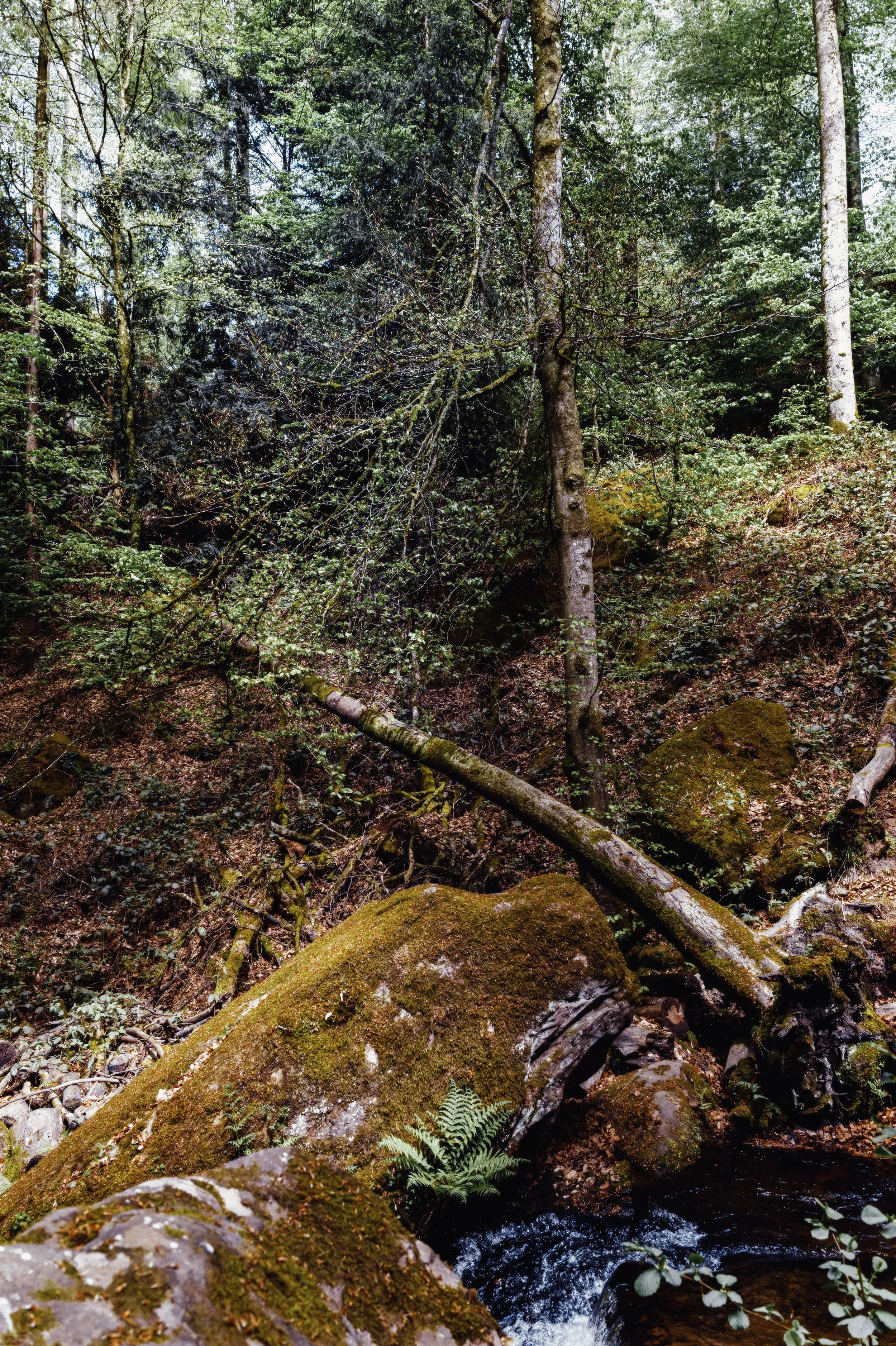 L1050281.jpg