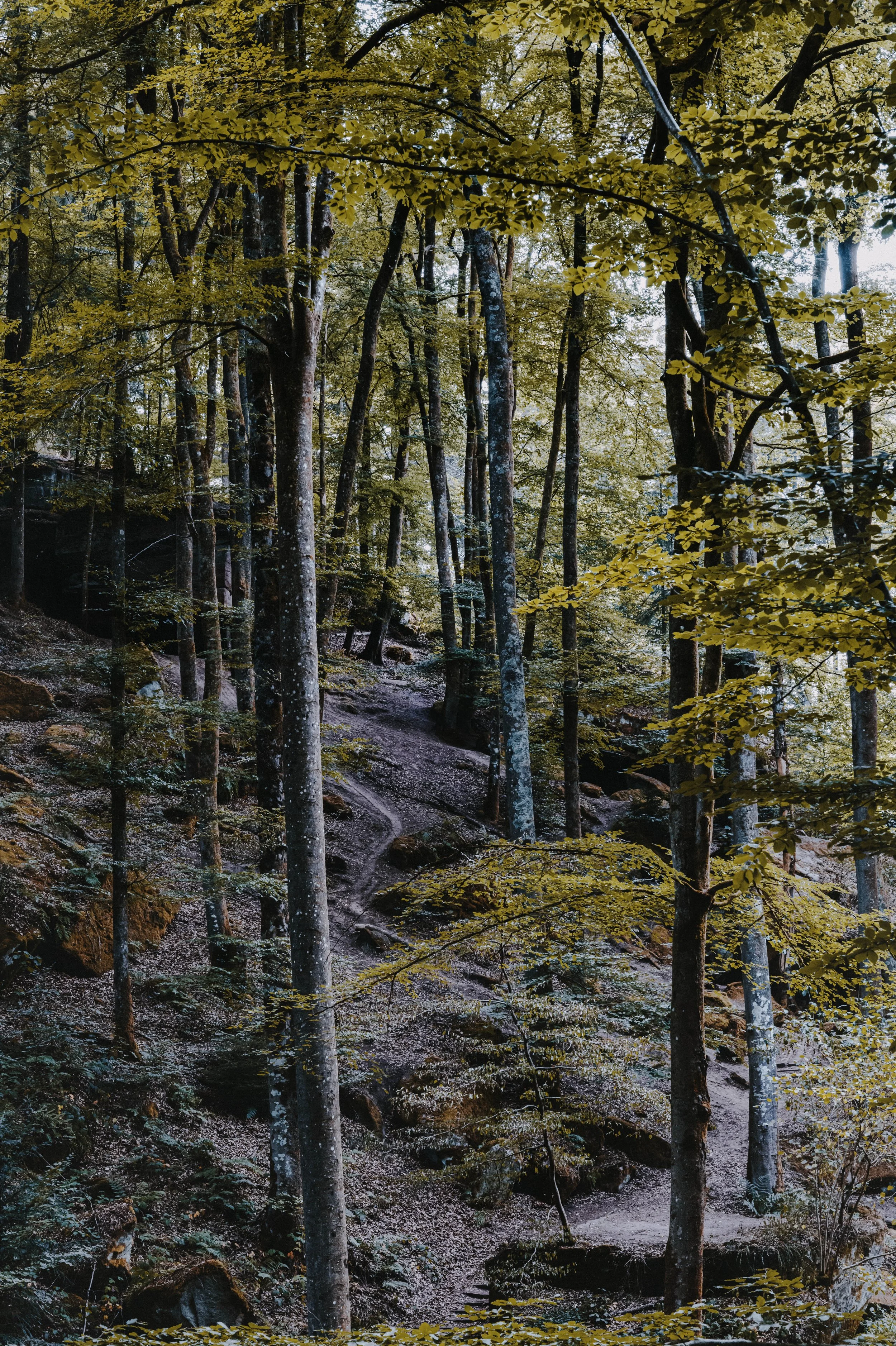 L1050846.jpg