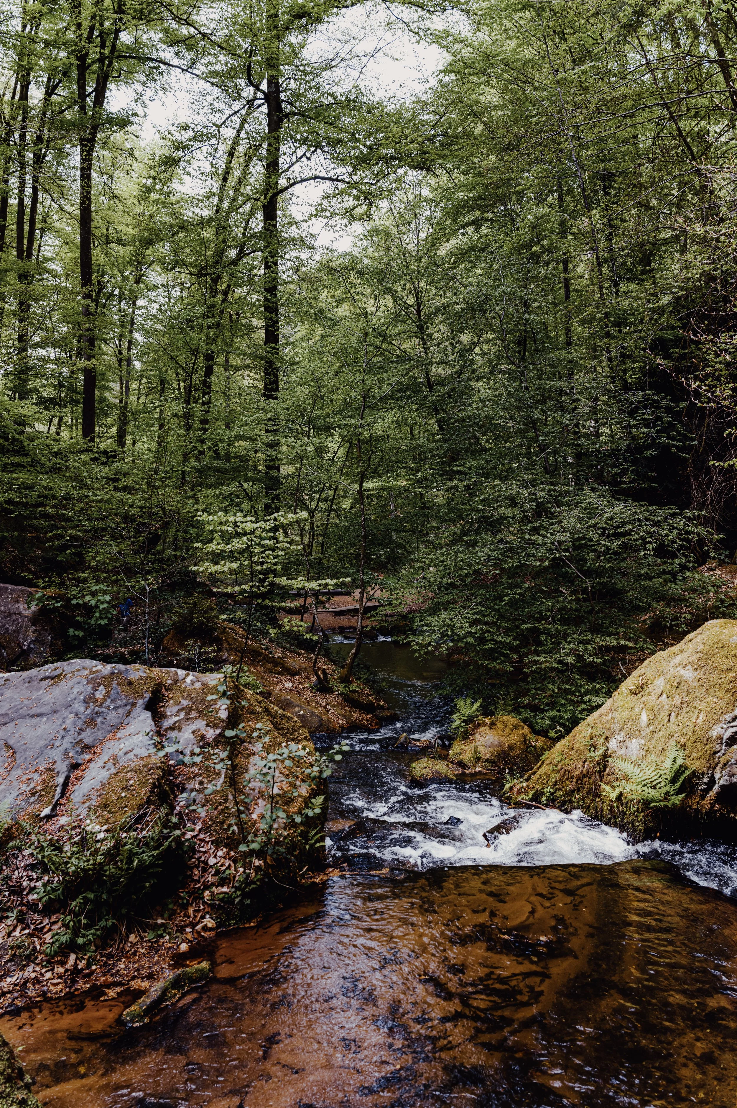 L1050284.jpg