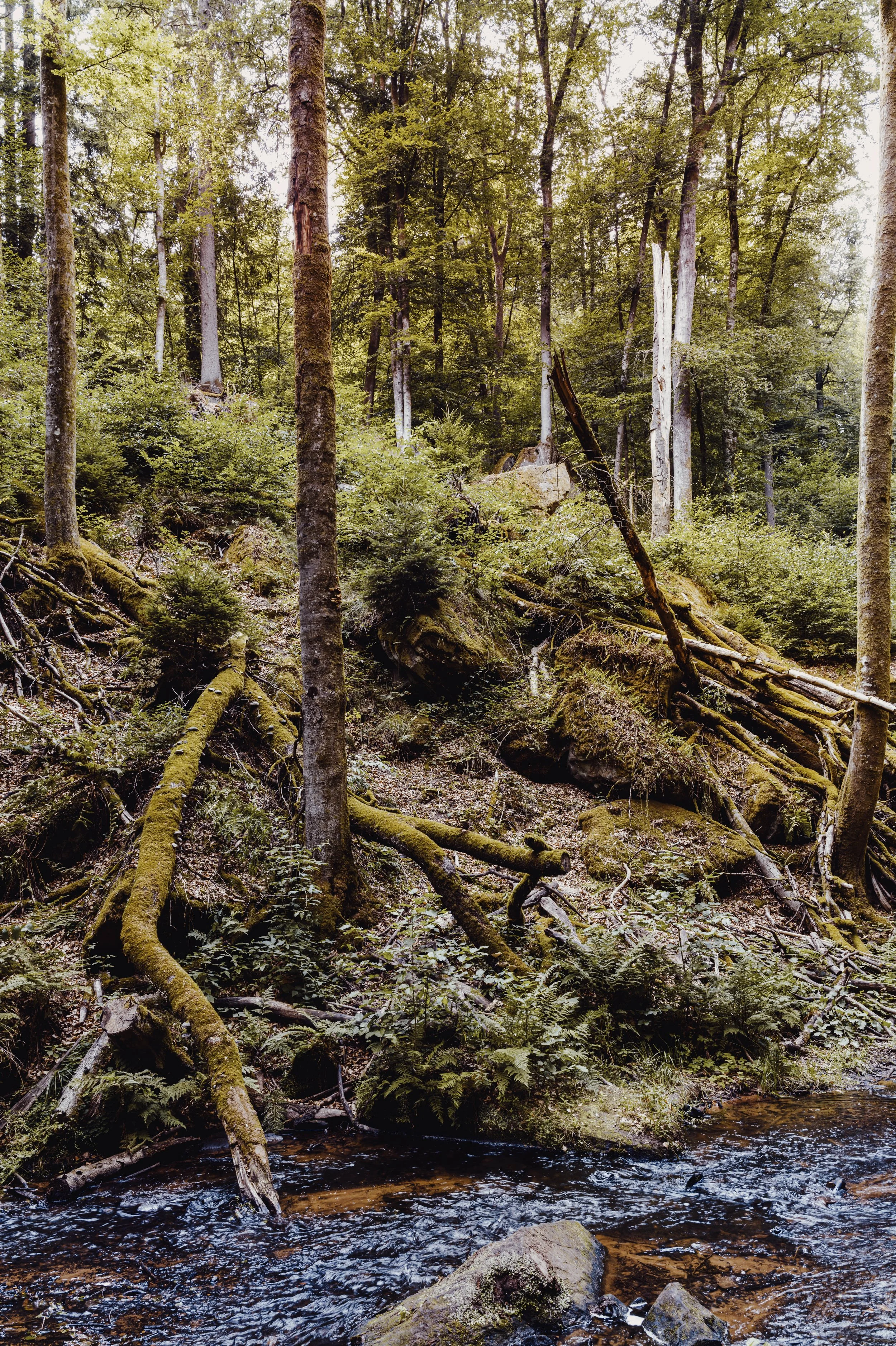L1050785.jpg