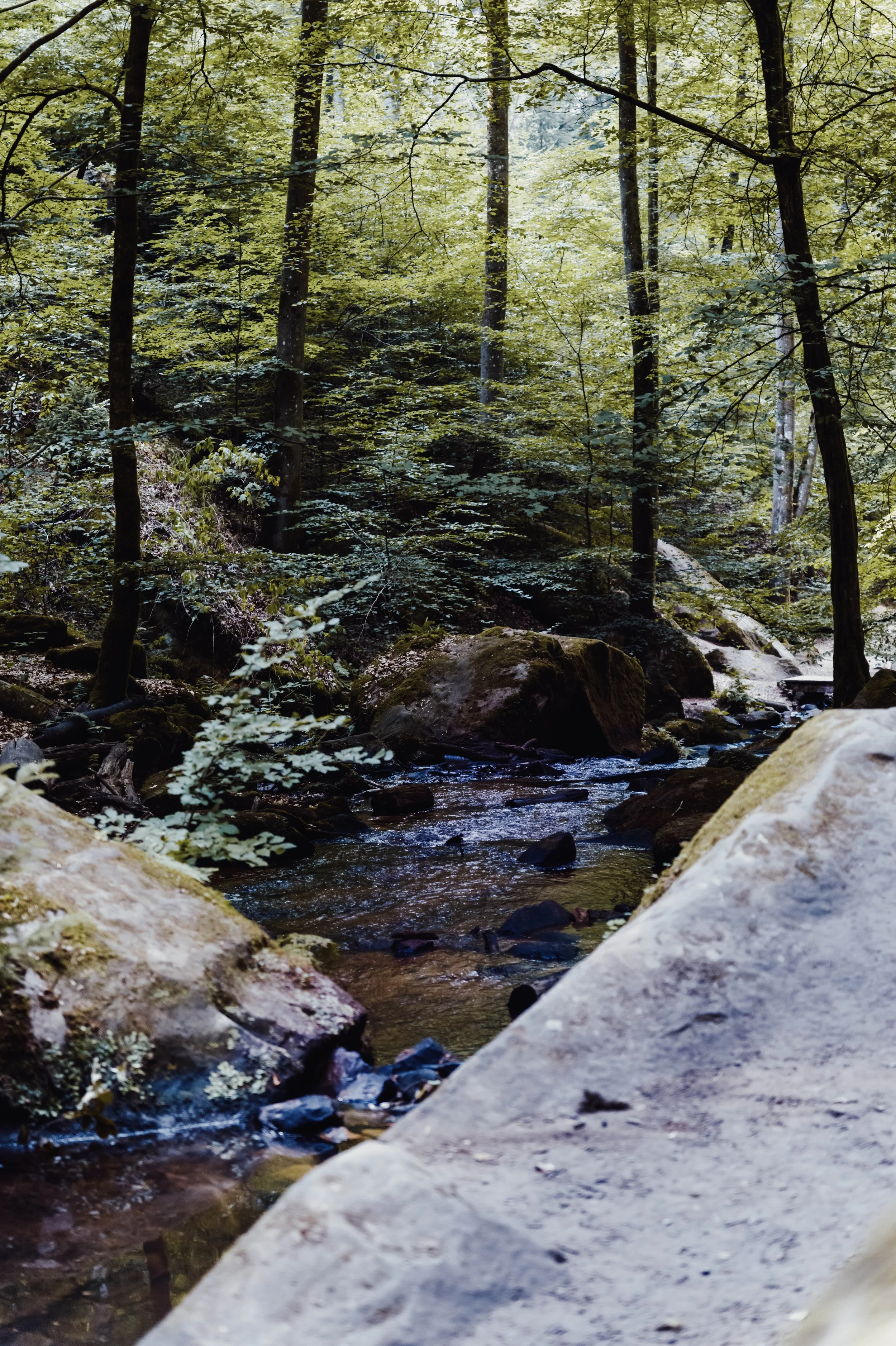 L1050825.jpg