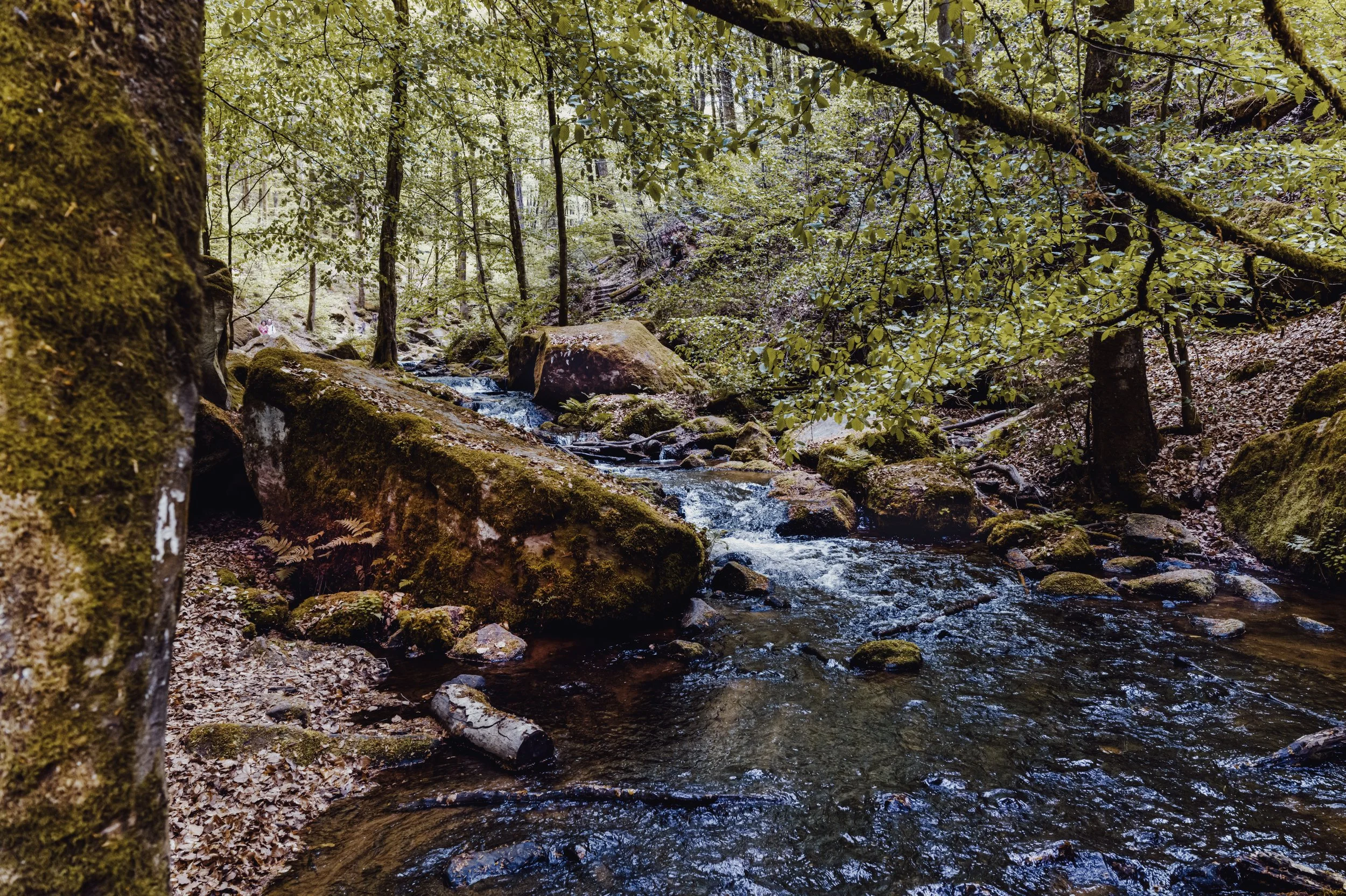 L1050294.jpg