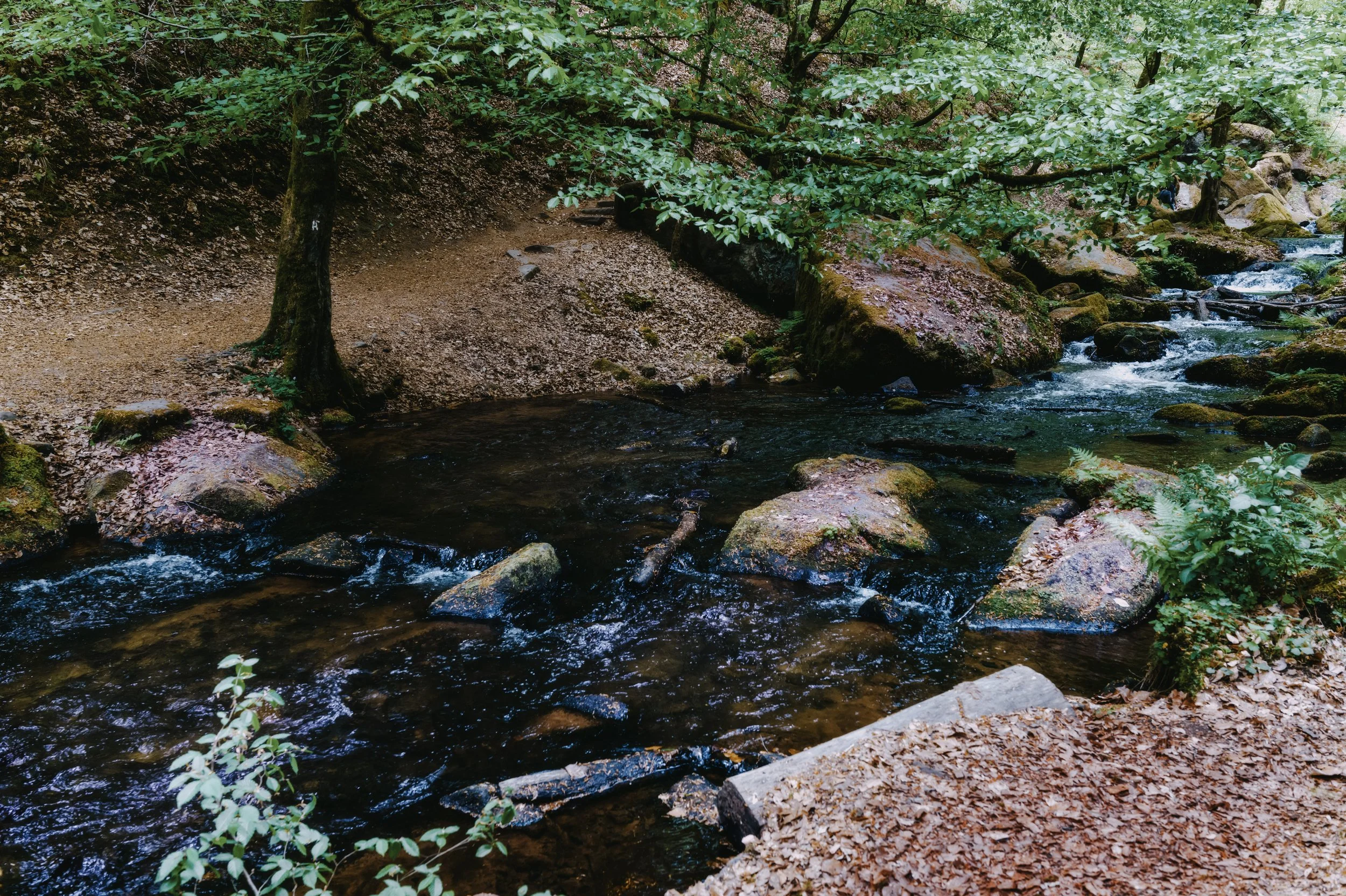 L1050293.jpg