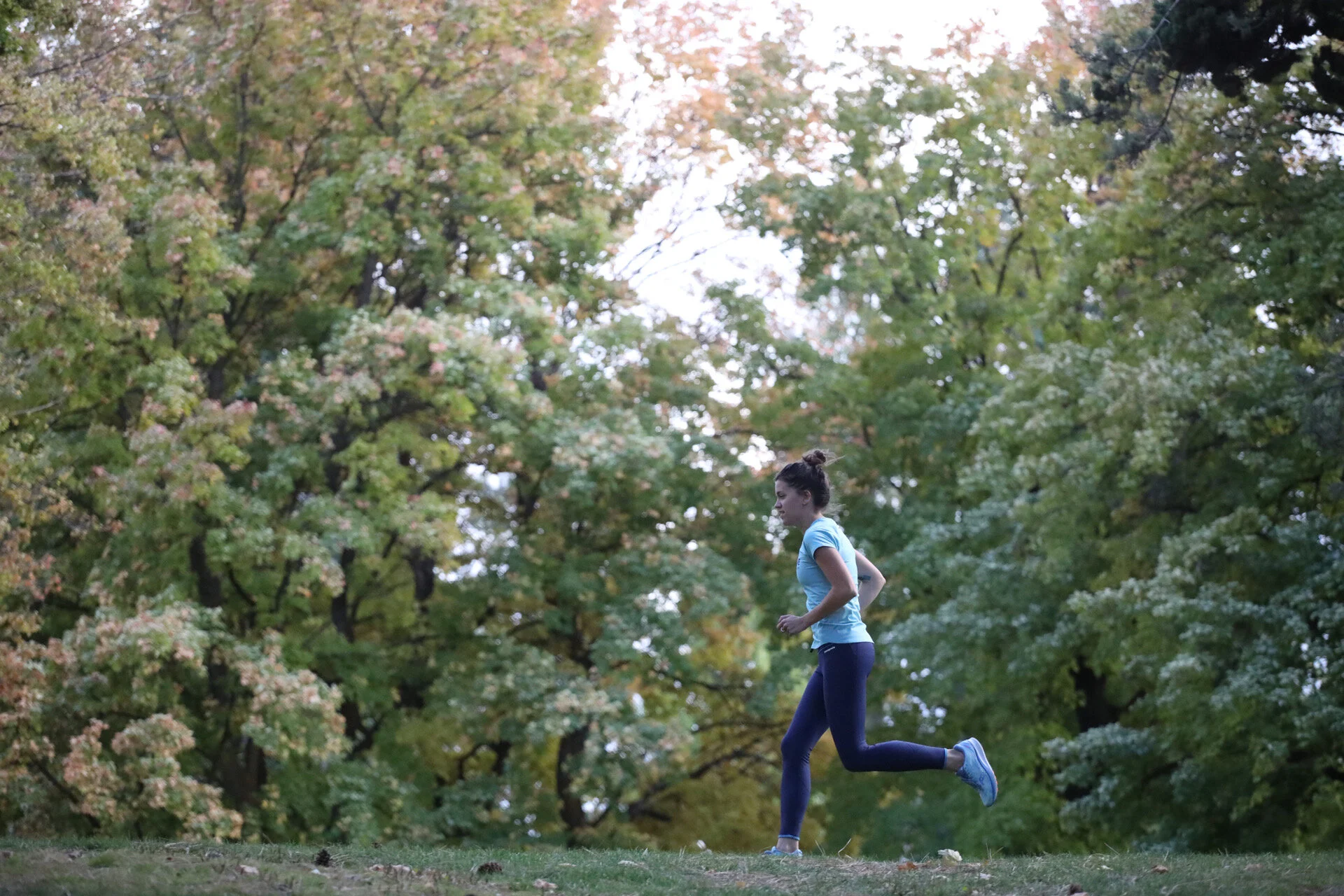 fall foliage. photo by: mark stockamp photography