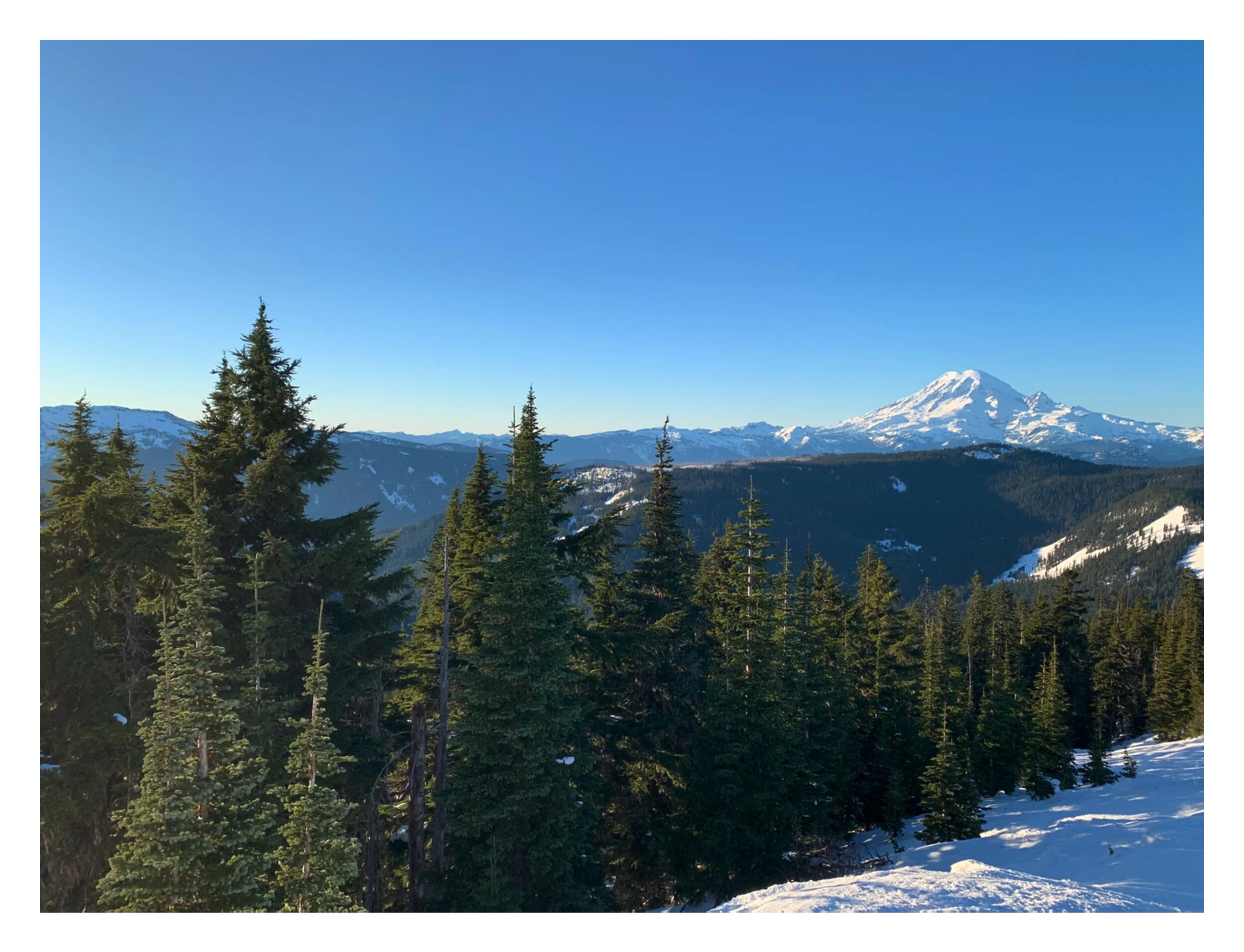 skied the trails i ran in high school, and it was the most heart happy thing i have done in 2020. 