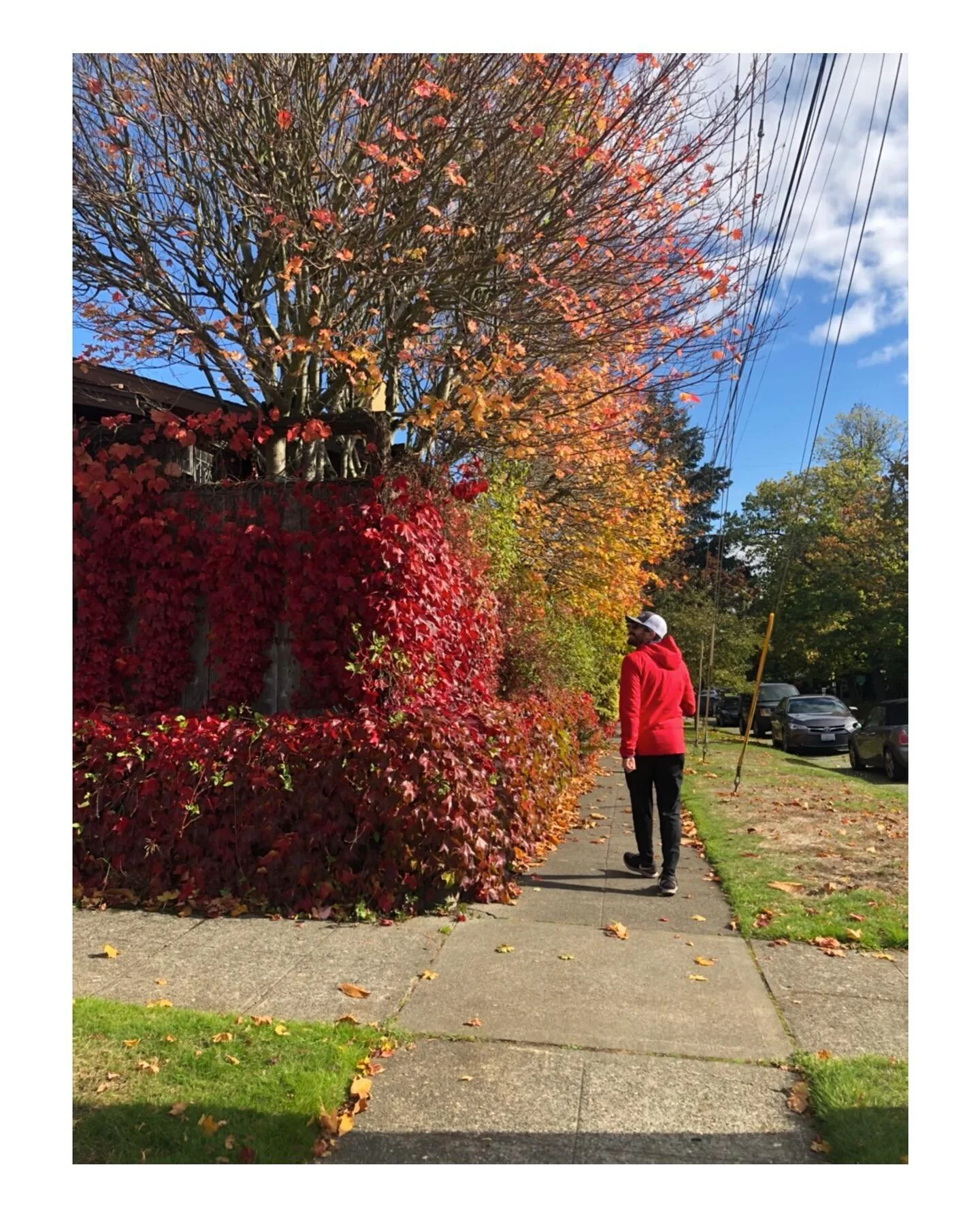 jaunts around the neighborhood. urban hikes are becoming our jam.