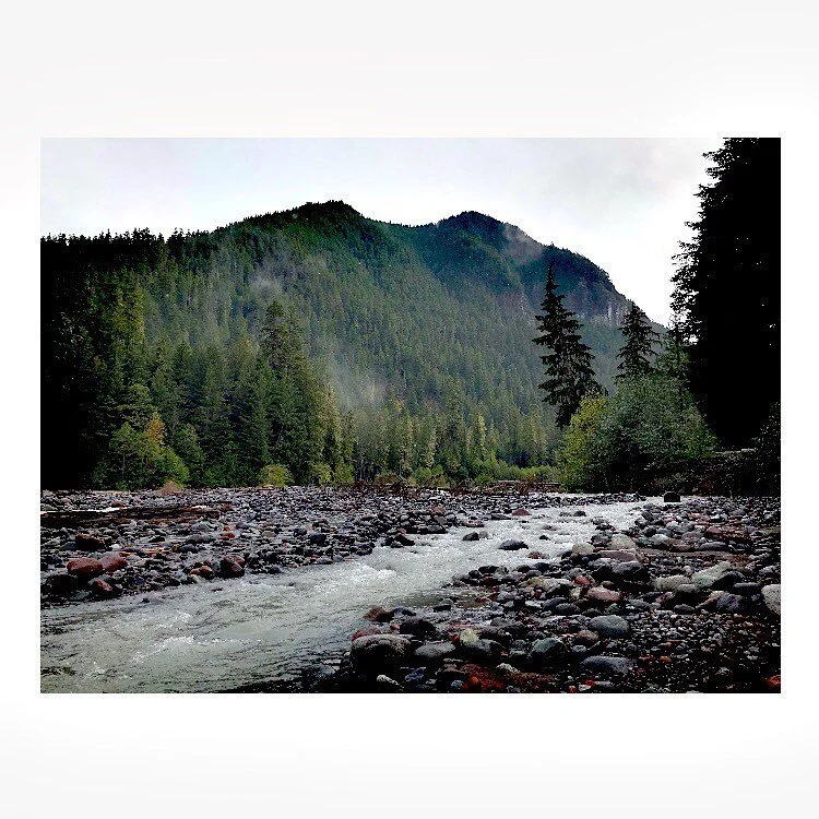 and i wish there were words to tell you more...
:::
at a loss. i thought that i would have to find the right words or the best caption... but that isn&rsquo;t there right now. they don&rsquo;t find their way to my lips. 

so i go to the mountains. fi