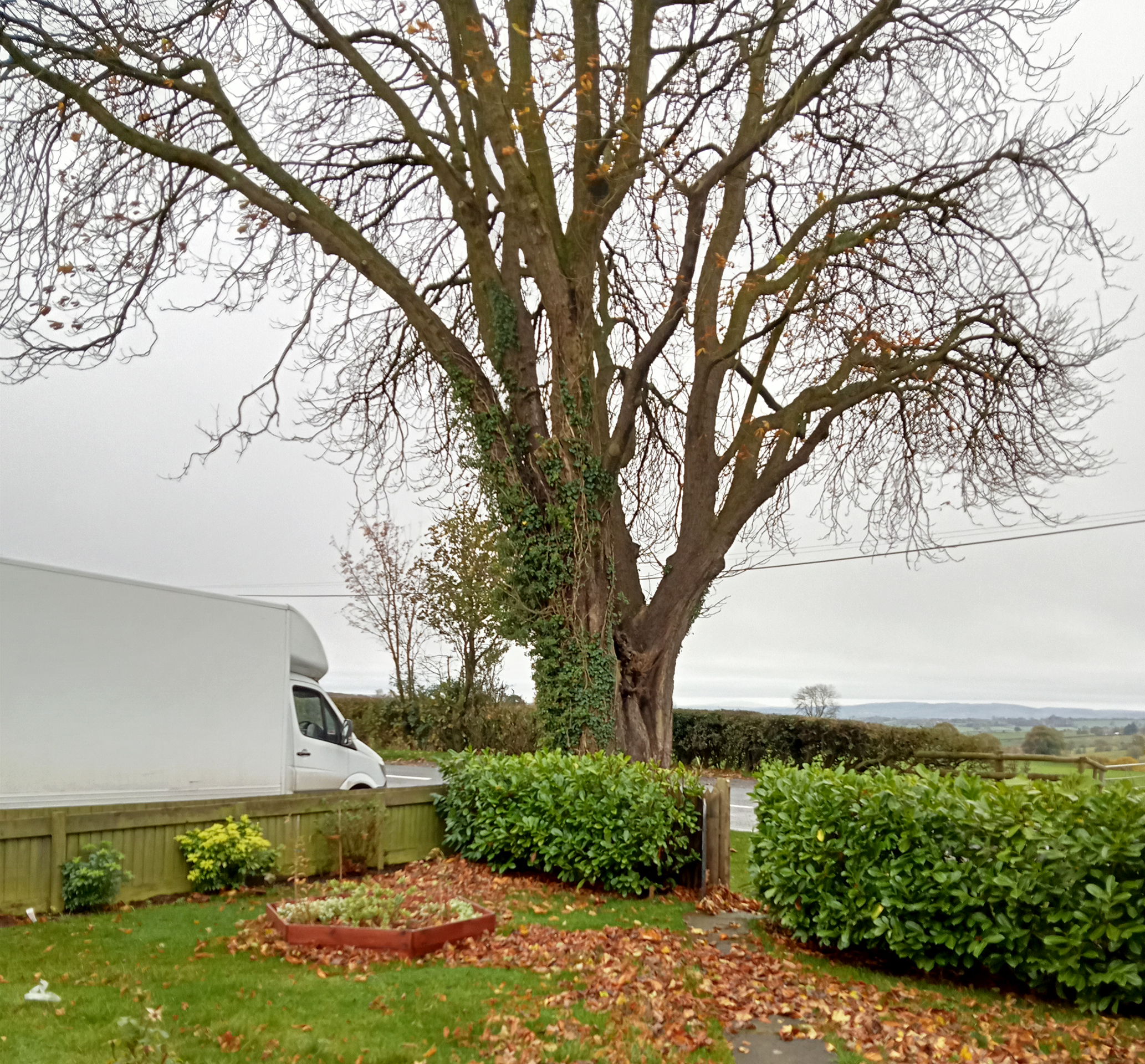 A2B-Hereford-www-Domestic-Removals-21.png