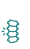 Simple line drawing of a mountain shell or conch.
