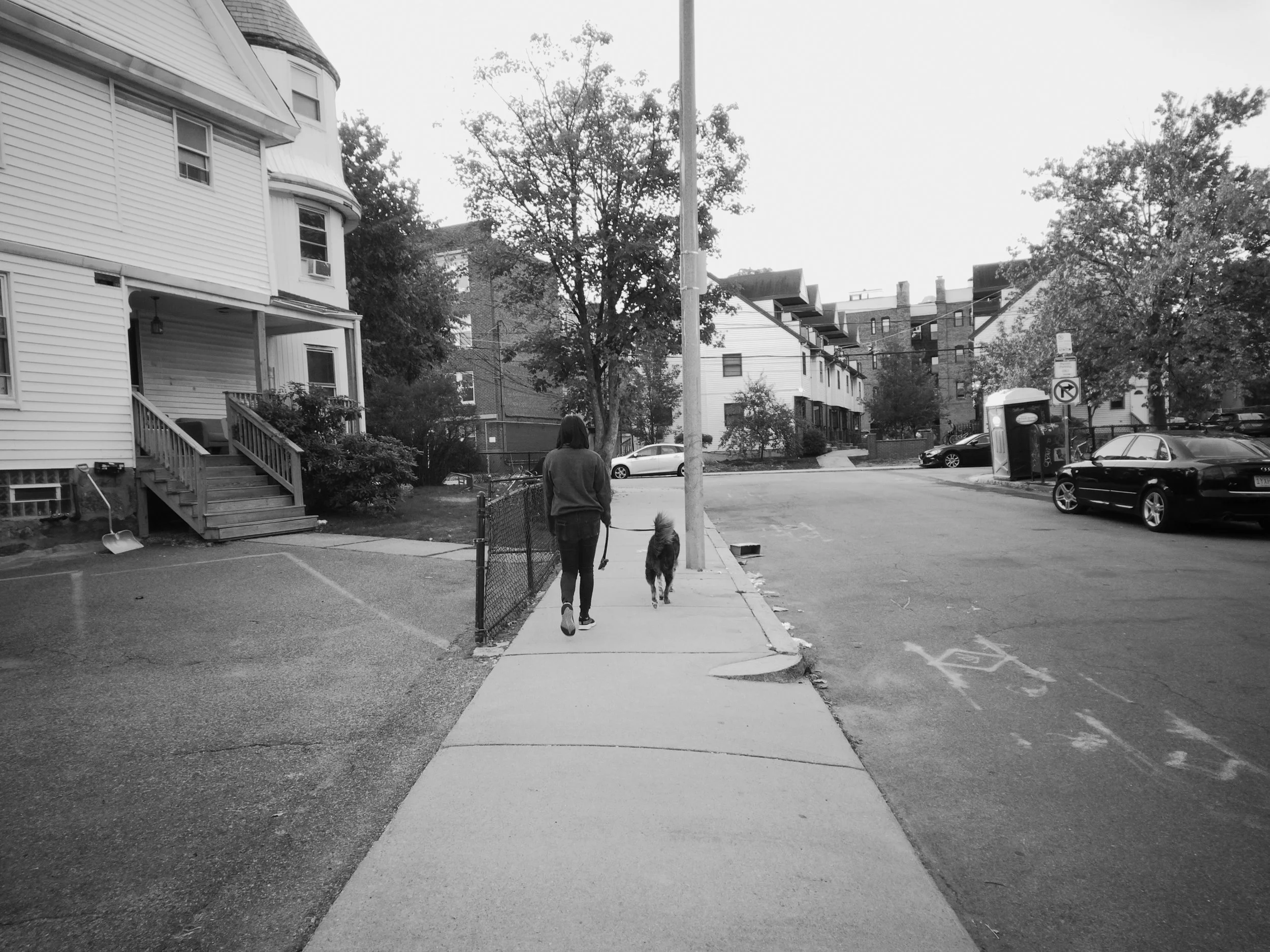 went for a walk with my old roommate and good boy Raisin 