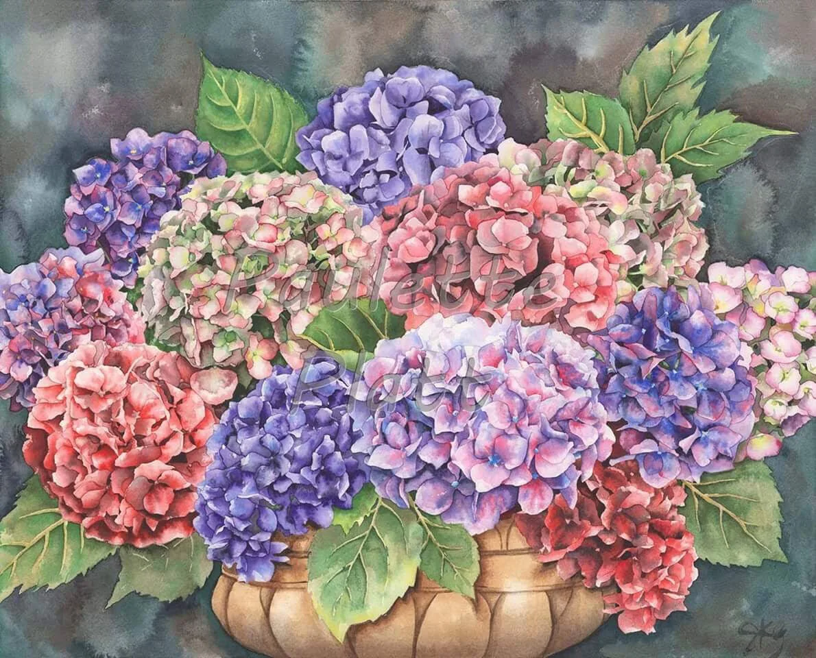 Hydrangeas.jpg