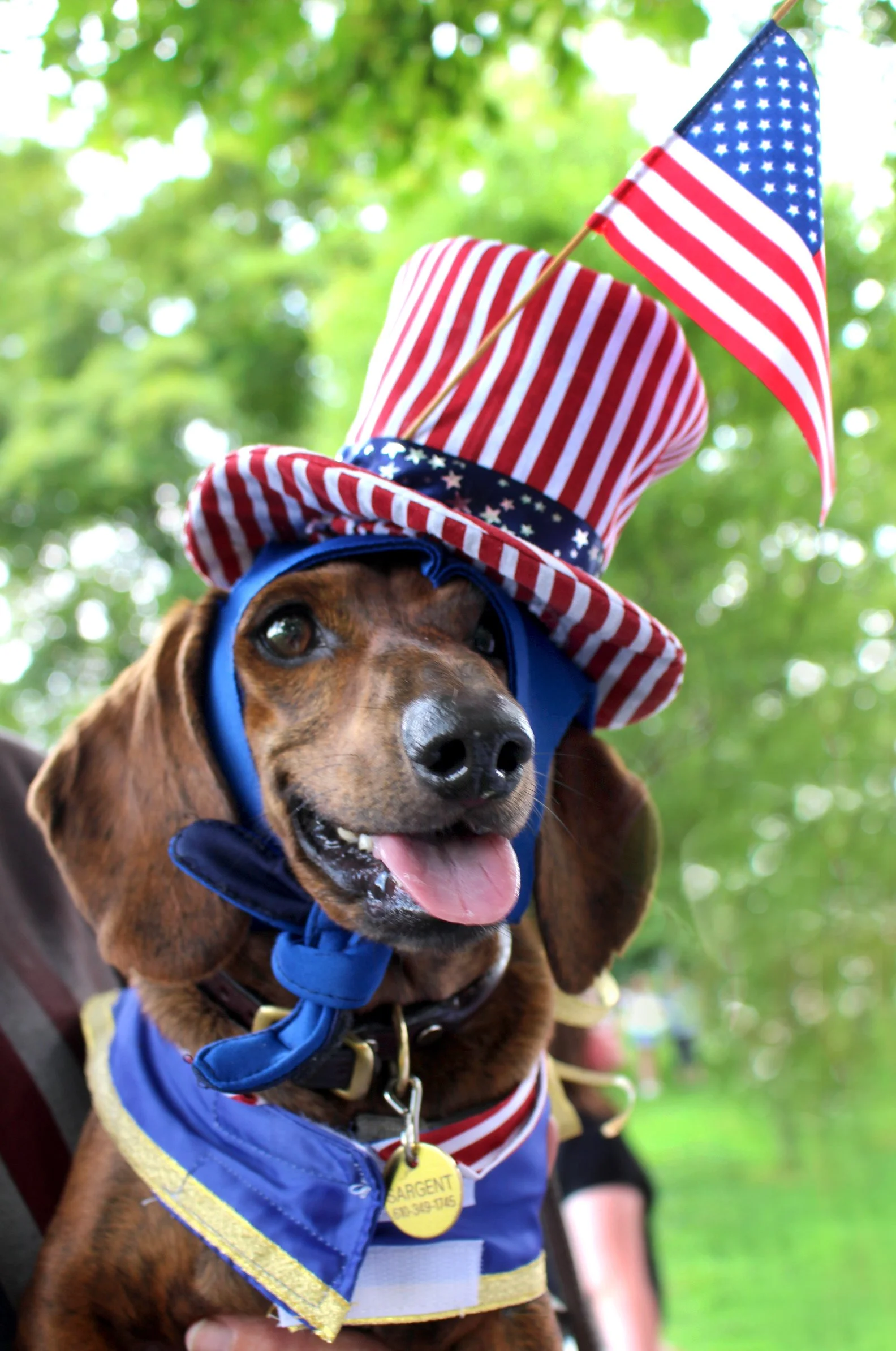Pet Pageant