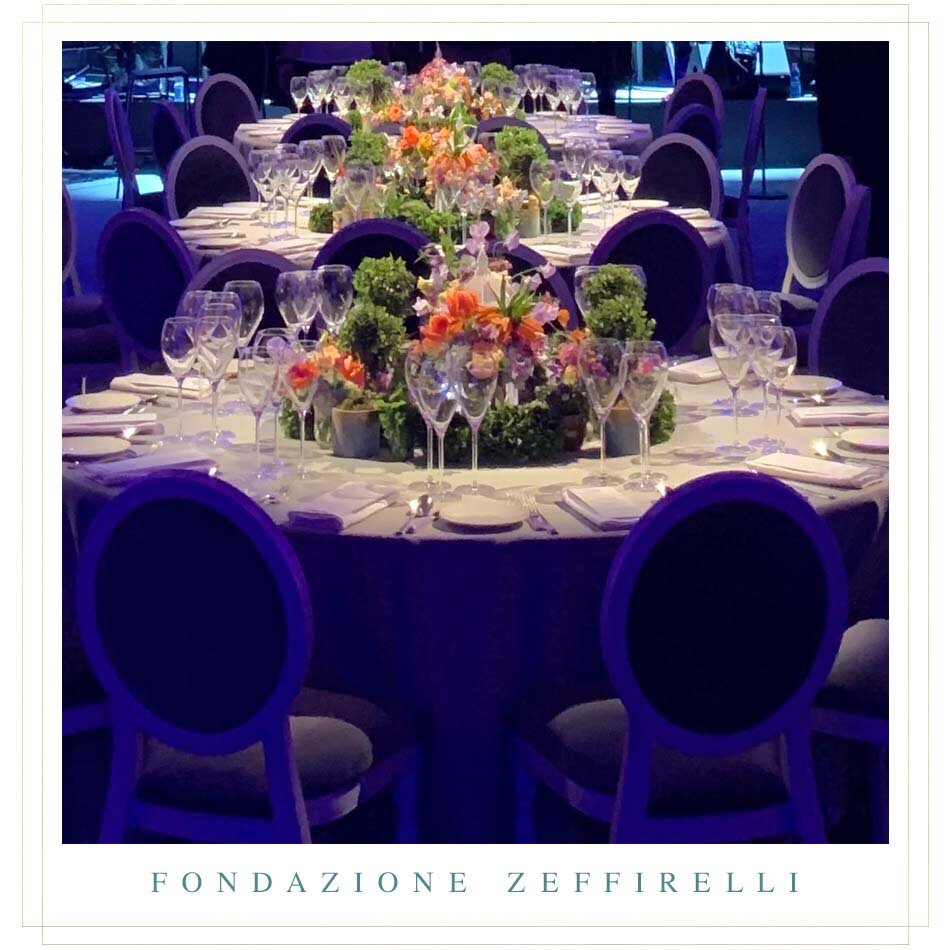 portfolio_gaia_FONDAZIONE_ZEFFIRELLI.jpg