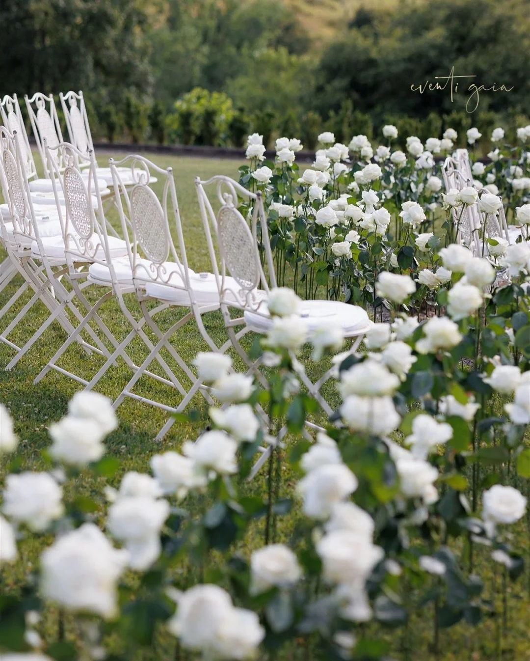 A ceremony imagined as art.
650 single white roses standing tall &mdash; a sculptural aisle that blurs the line between nature and design.
Every stem placed with intention, every detail whispering quiet luxury.

A study in light, form, and feeling &m