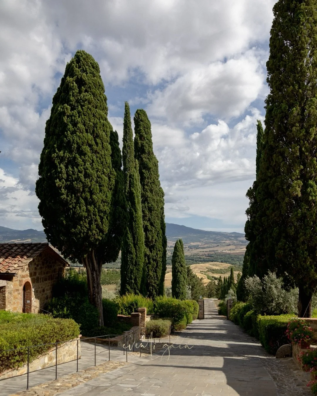 Tuscany has a way of holding you still &mdash; in the shadow of ancient cypress trees, along stone pathways warmed by the sun, and beneath castle walls that have watched centuries unfold. Every corner felt like a page from an editorial, where nature,