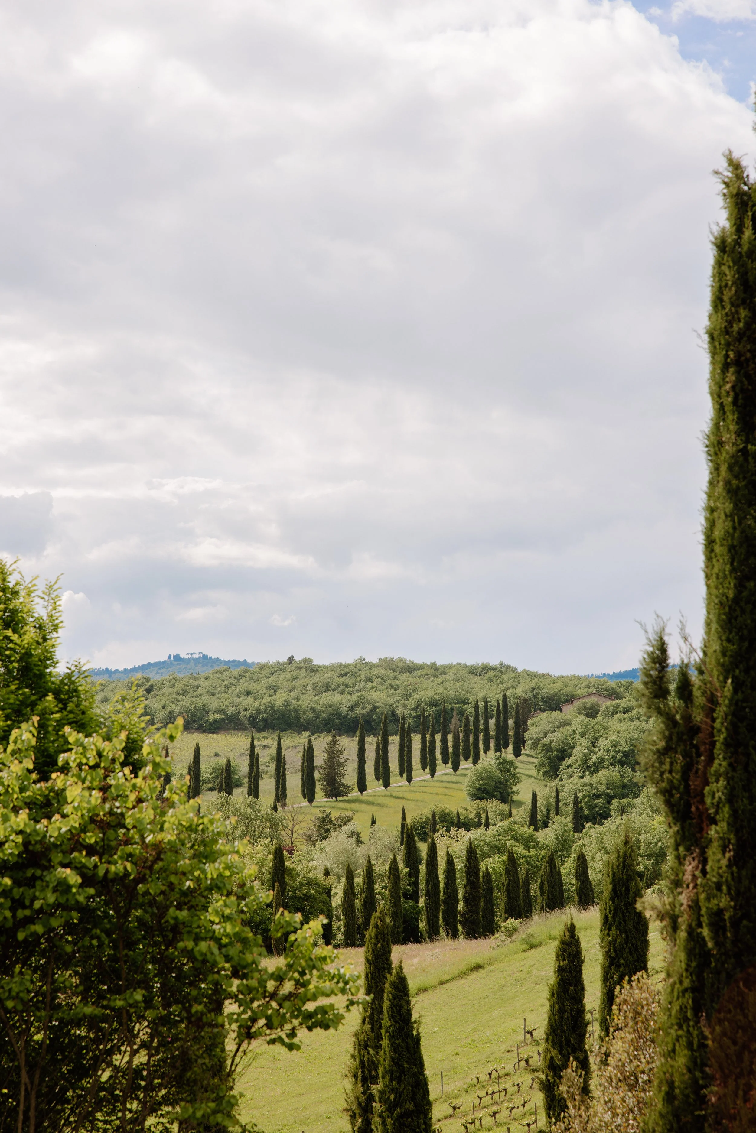 Erin Ren Photography-17.jpg