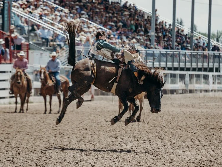 HUSTON LIVESTOCK SHOY Y RODEO ESTADOS UNIDOS