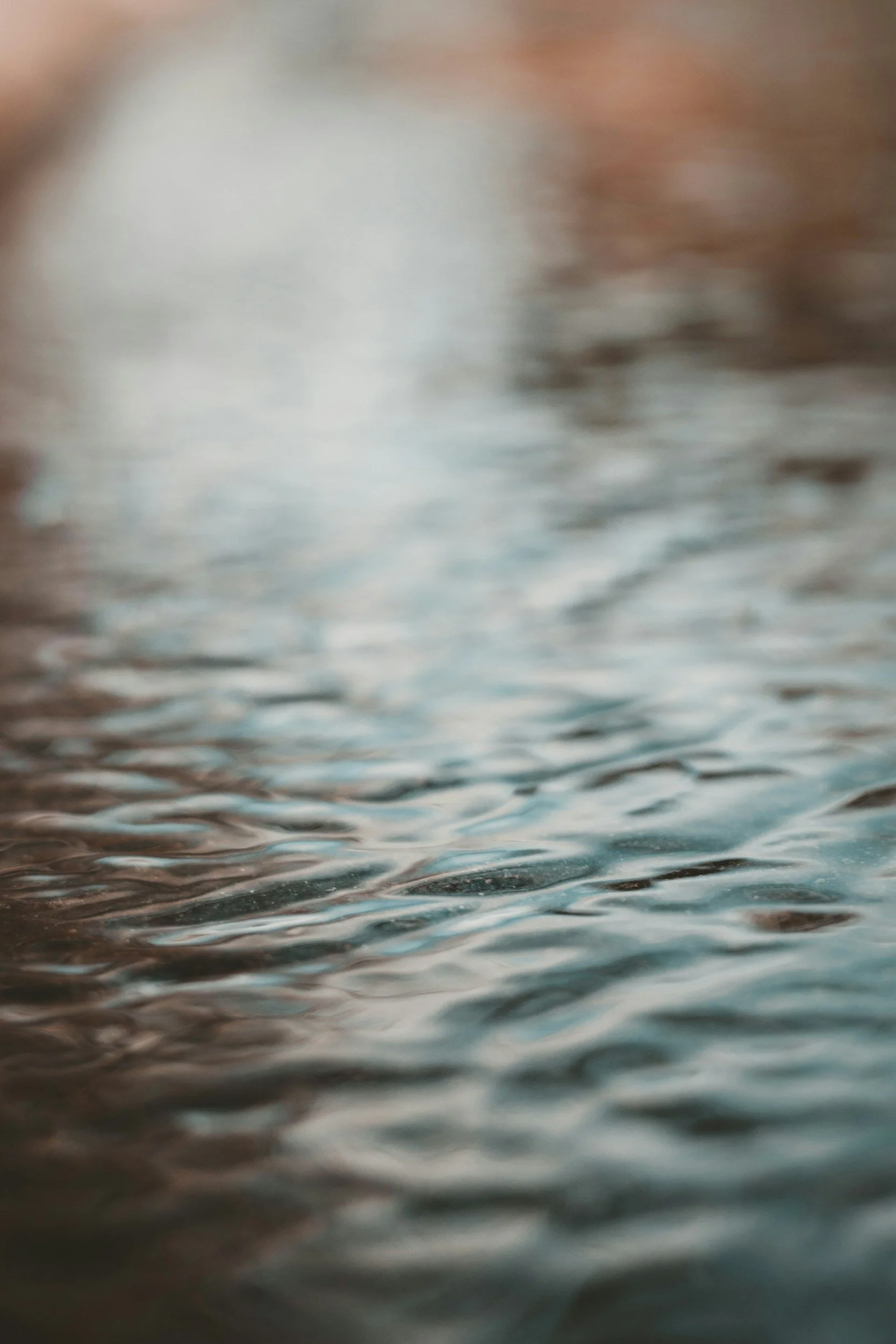 The Water Way