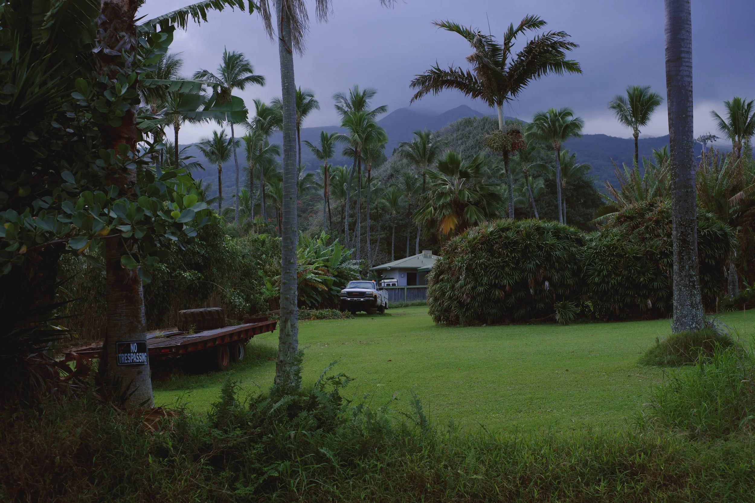 mountain backyard 1.jpeg