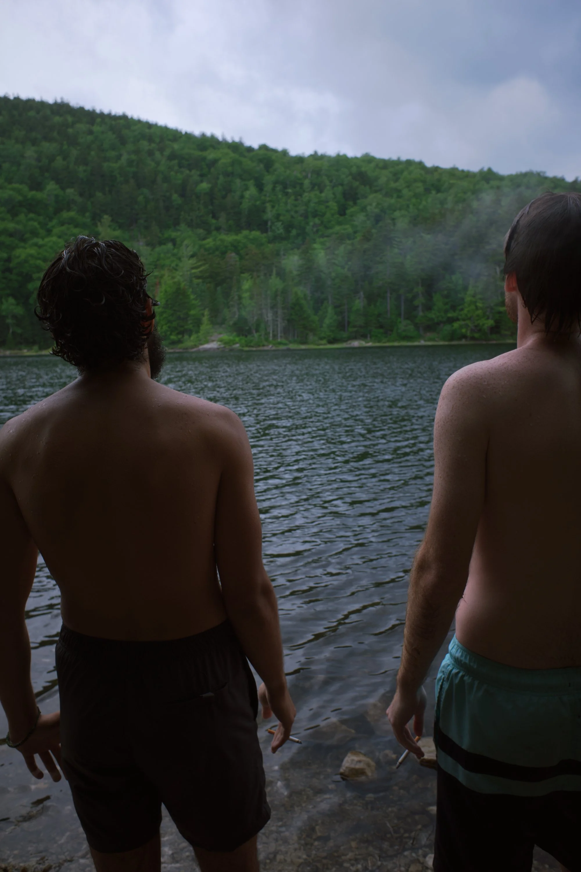 nature cigs 3 1.jpeg