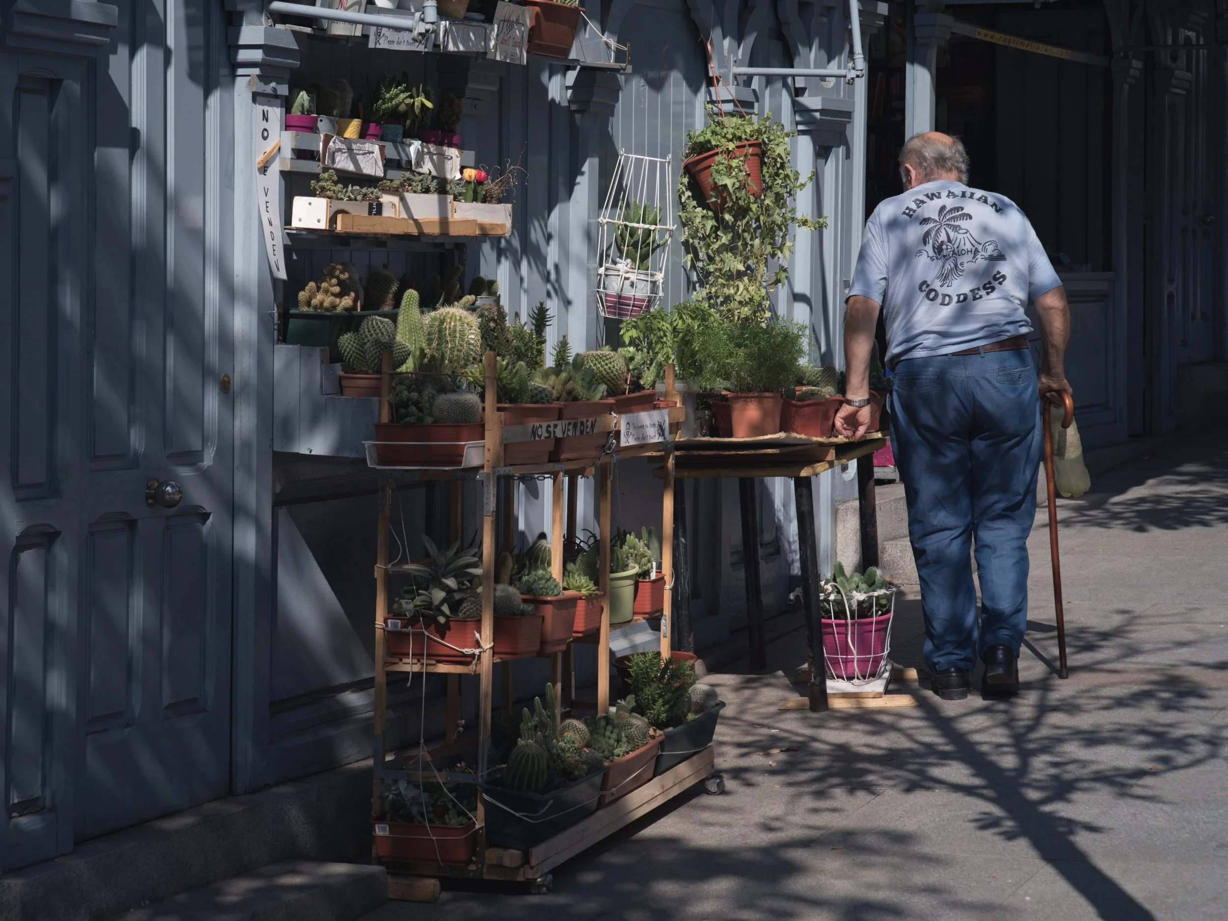 hawiian goddess 1.jpg