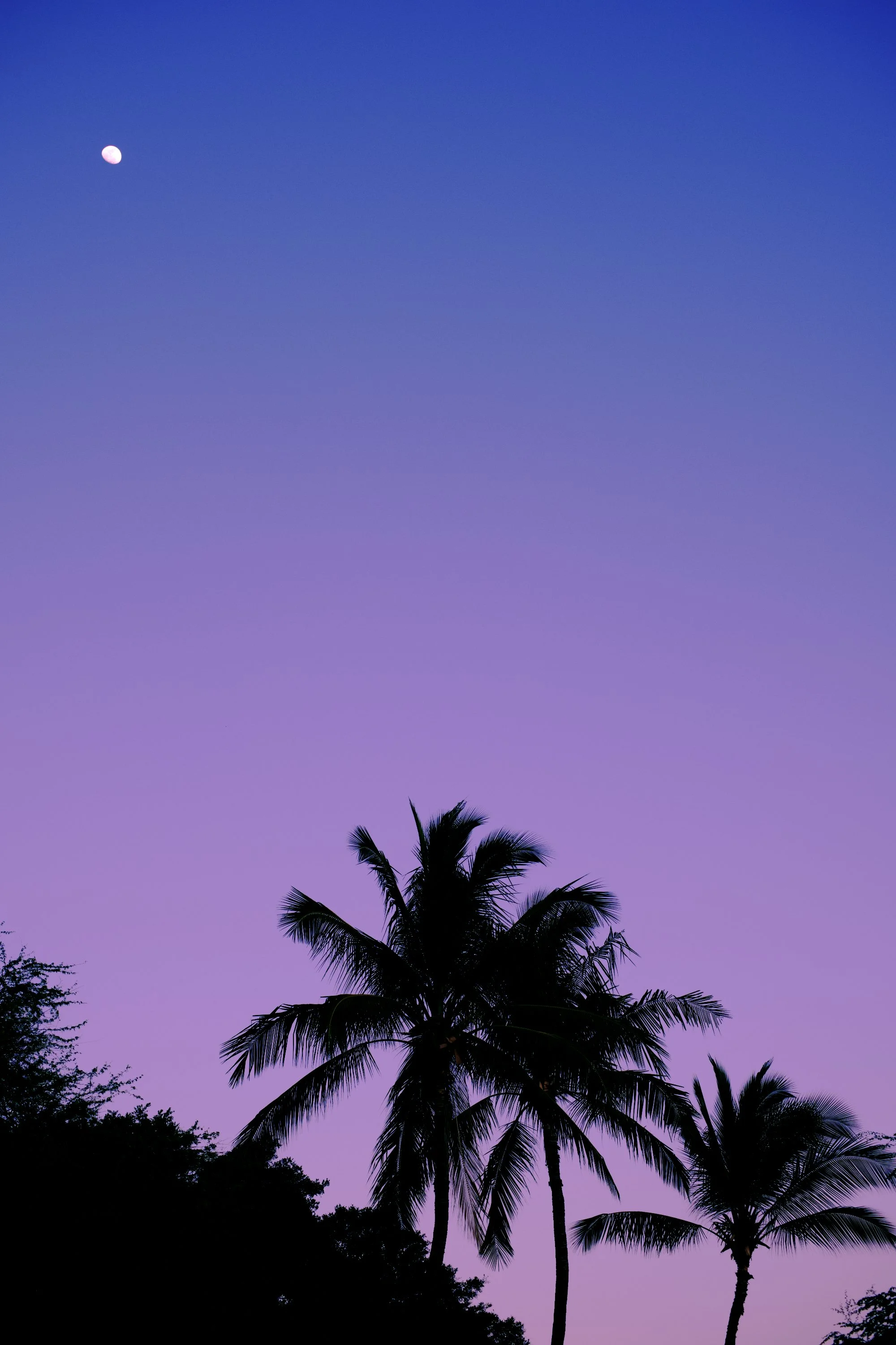 hawaiian moon at sunset 1.jpeg