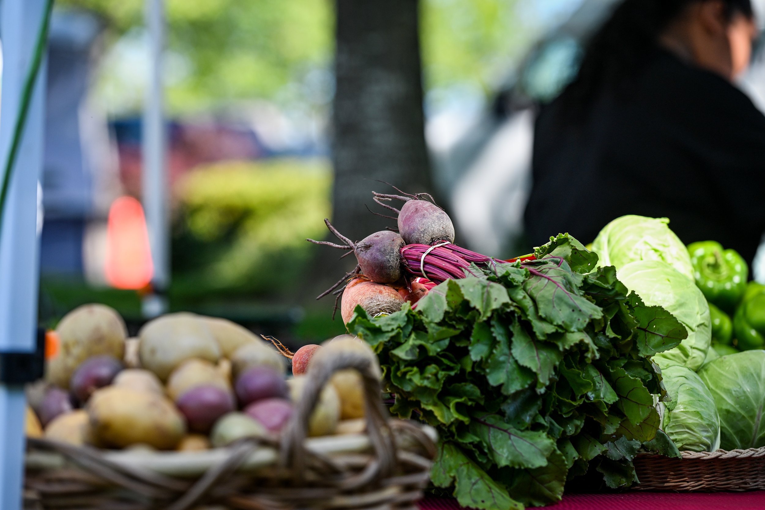 Barkley Village Market