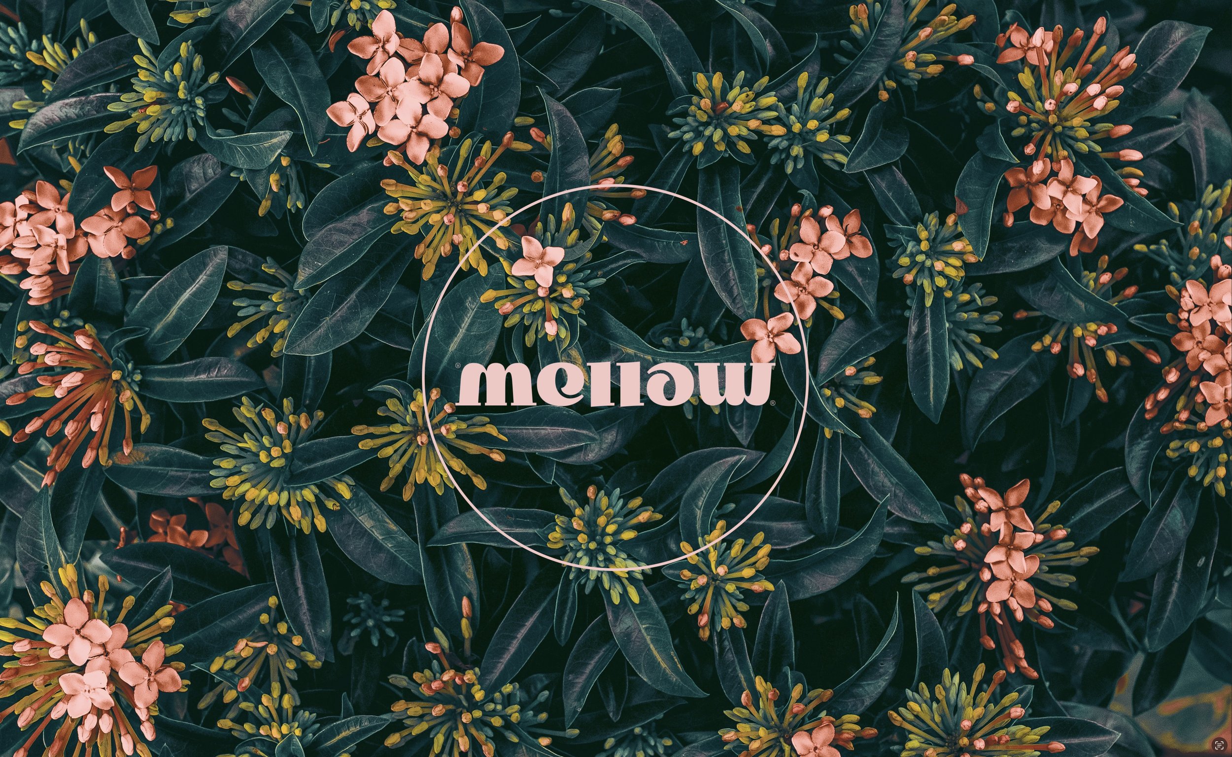 Mellow