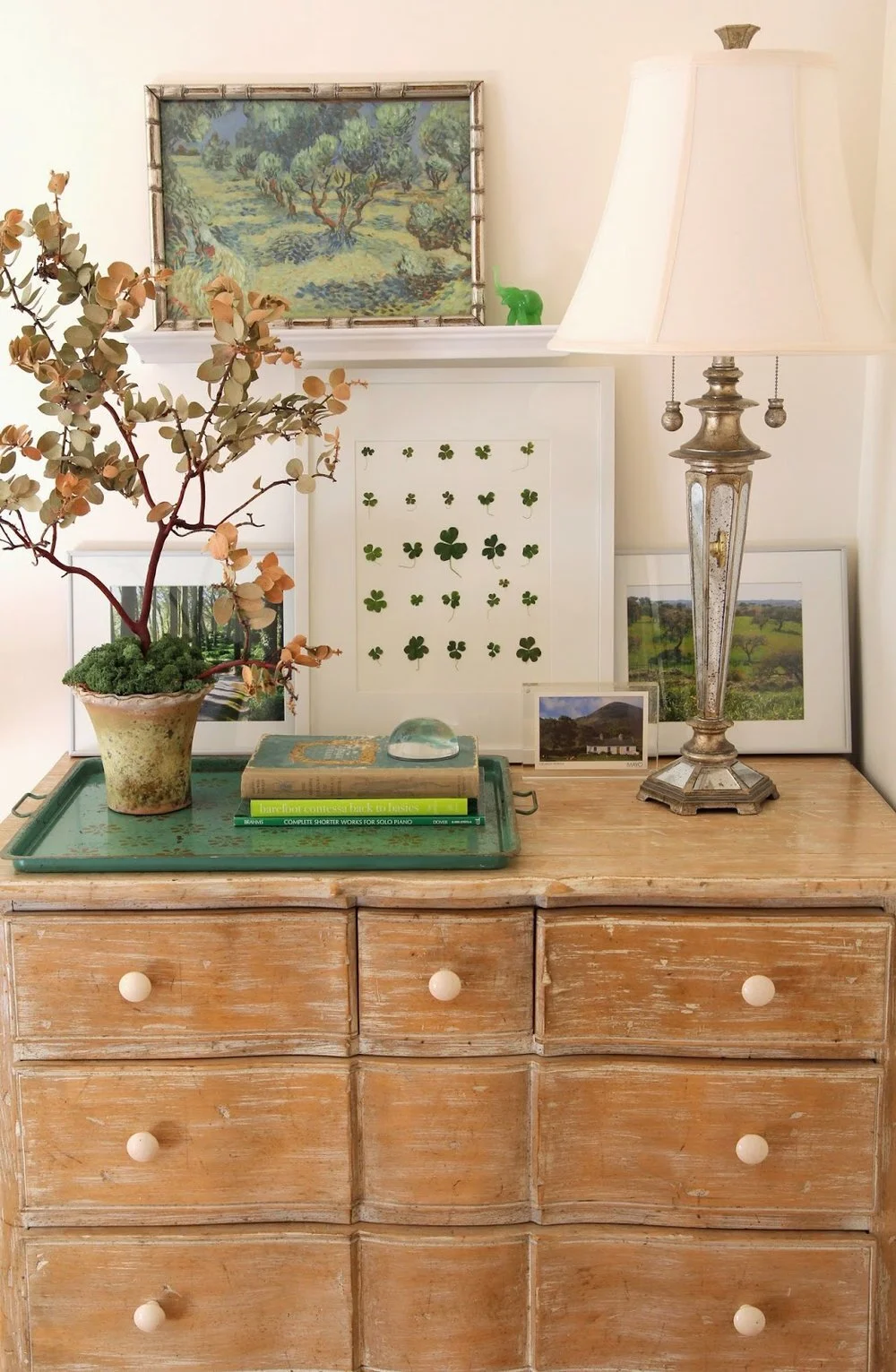 St. Patrick's Day Green Decor and Clover Herbarium
