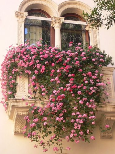 Romantic Balconies