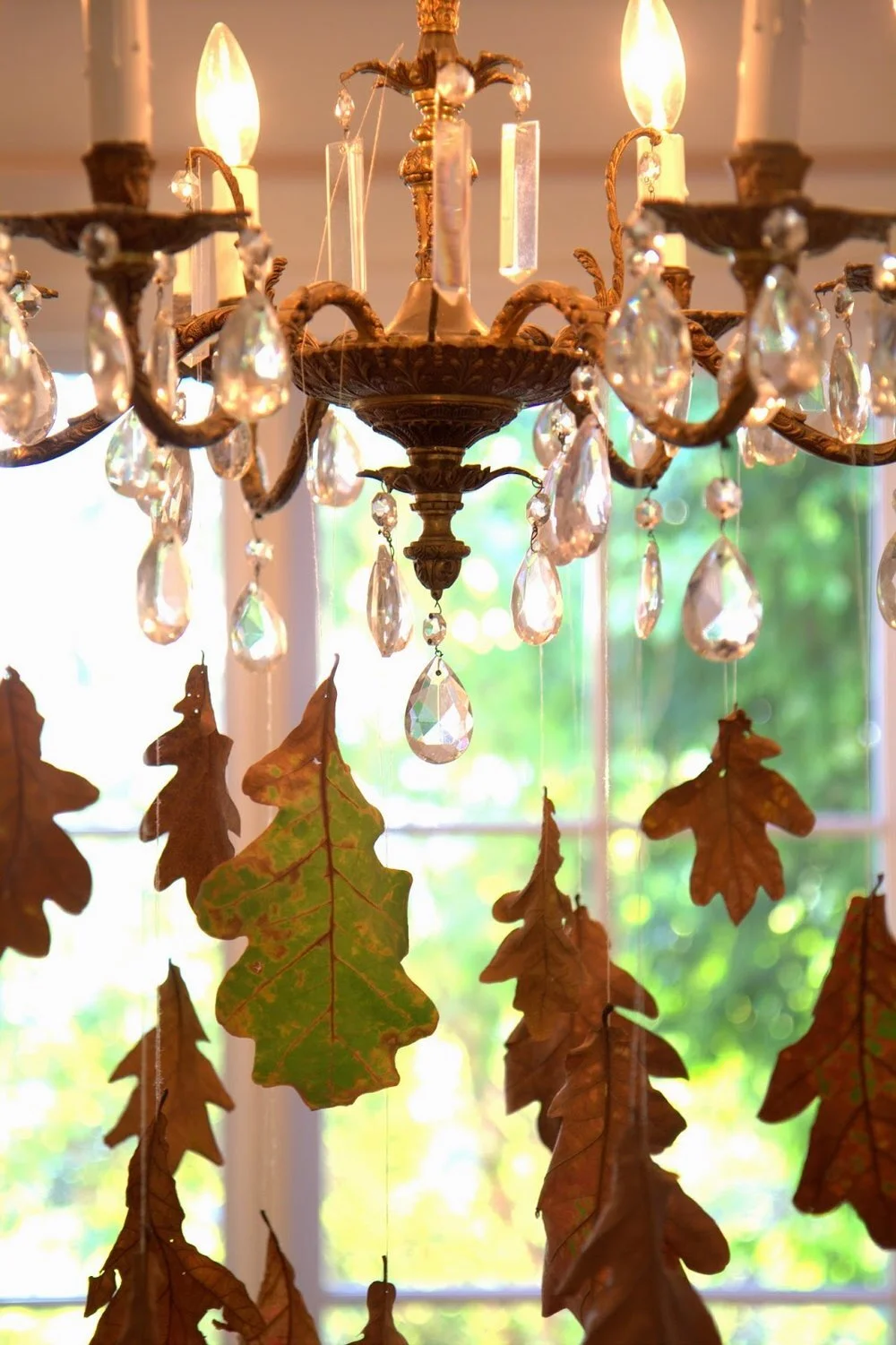 Autumn Decor -- Falling Leaves
