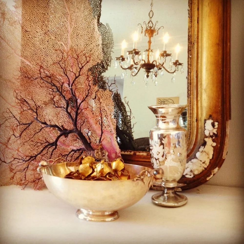 Creating a Vignette