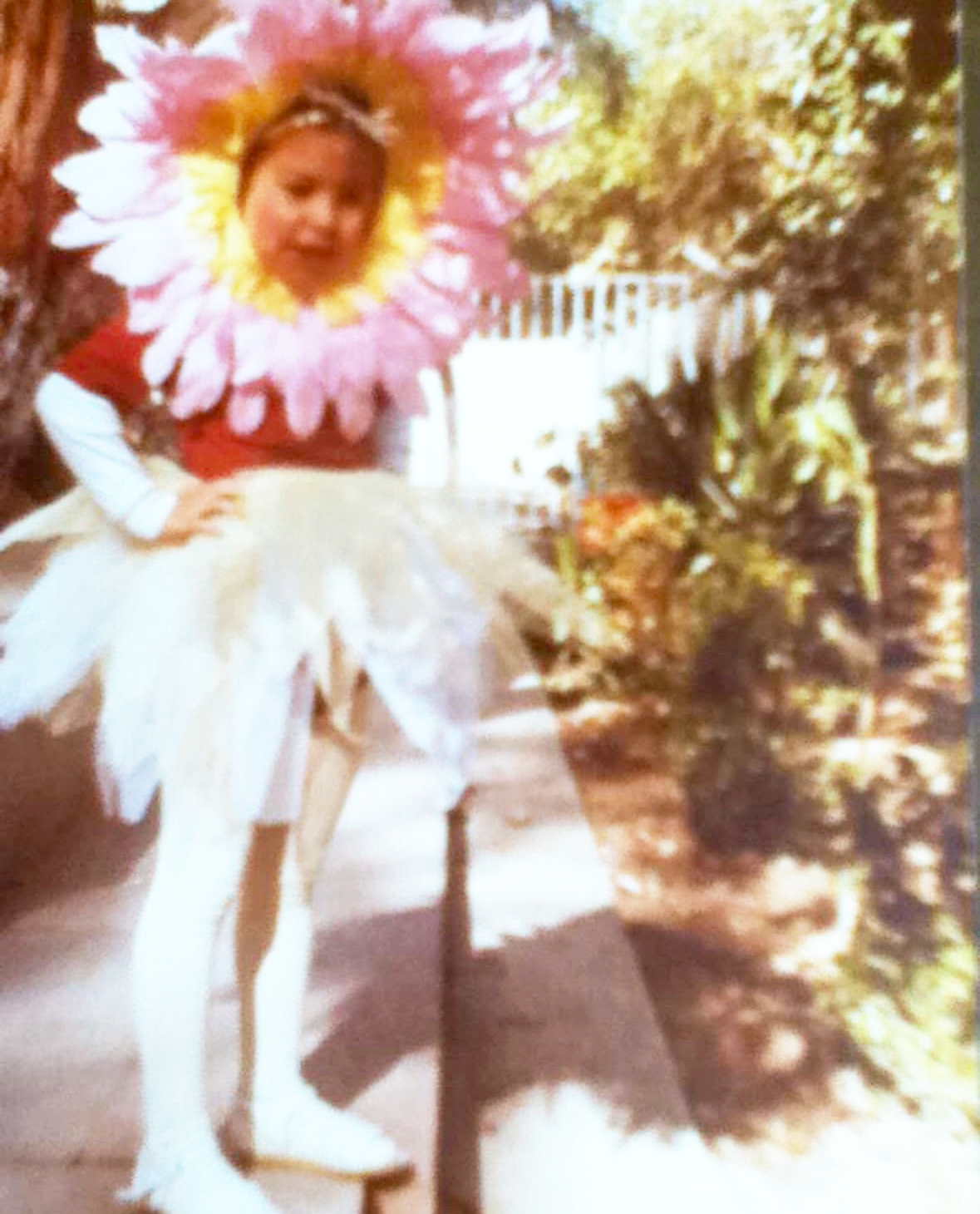 Iris as a 5 year old flower