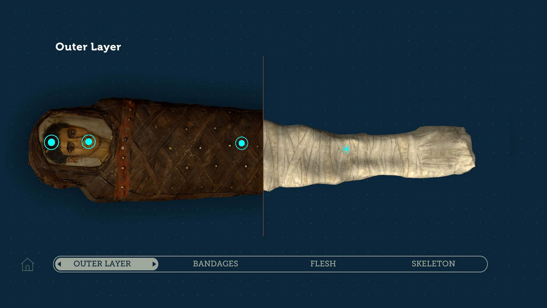 Mummies CT Scan - Interactive UI/UX design