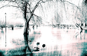 DREAMS TIME | IMAGE LIBRARY