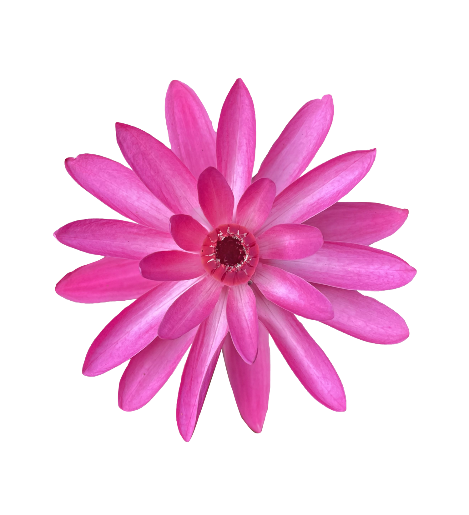 North Shore Waterscapes