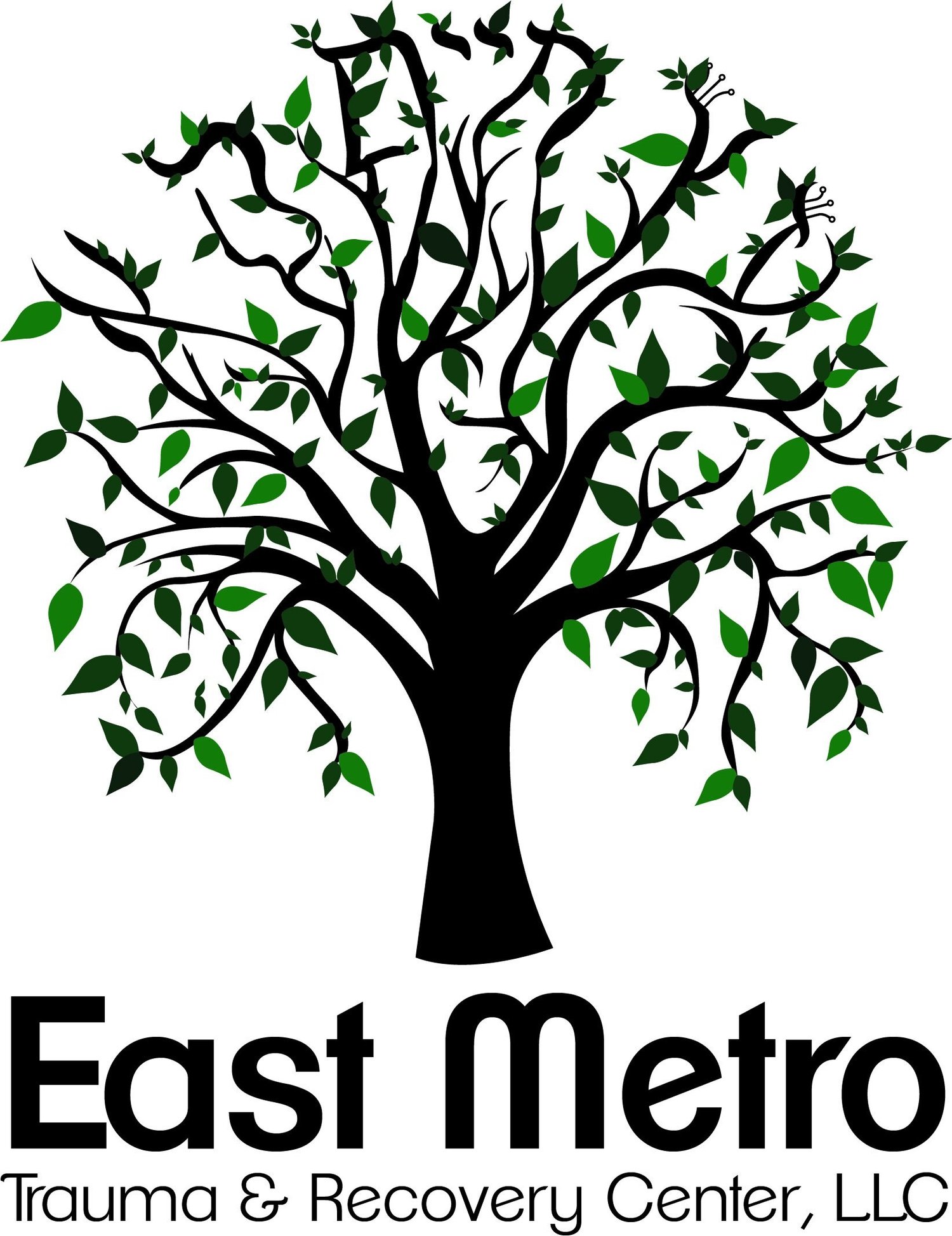 EastMetro Trauma and Recovery Center