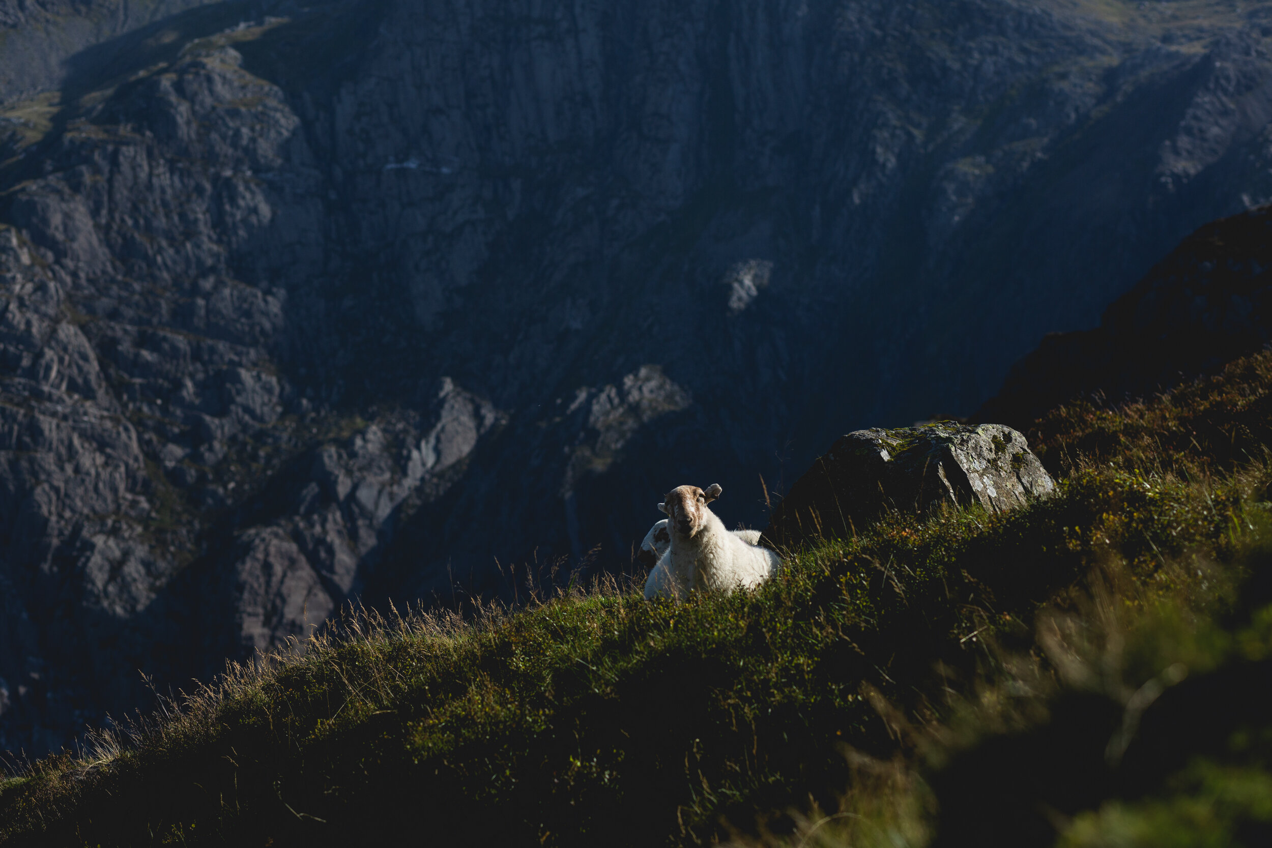 markwilliamson-photography-snowdonia-13.jpg